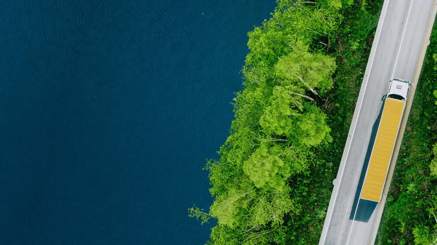 Home Page Banner 02.webp