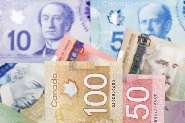 Your First Paycheque: What You Should Know