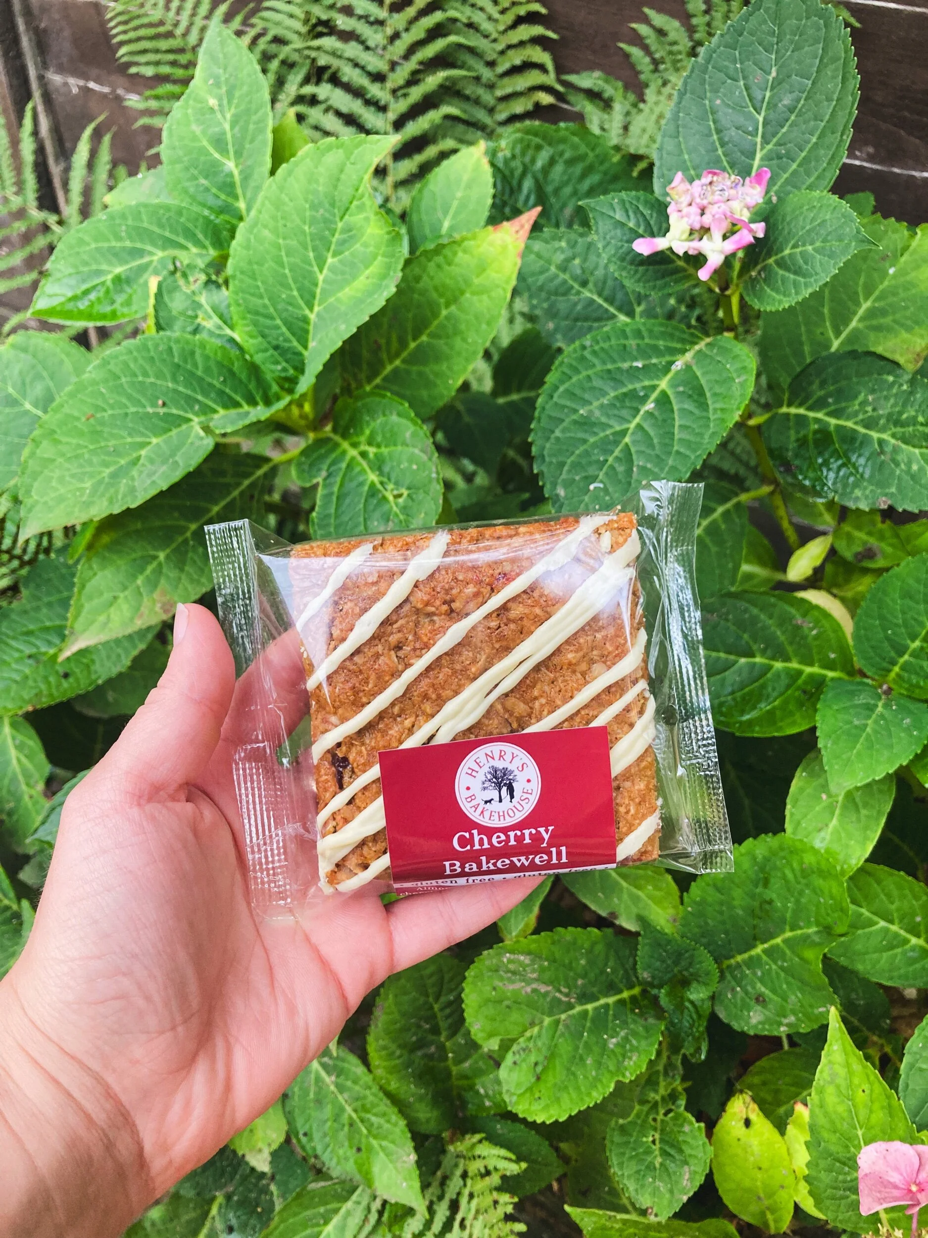 CF74FC4F-3DE2-4FC9-995A-9BE1DED14341