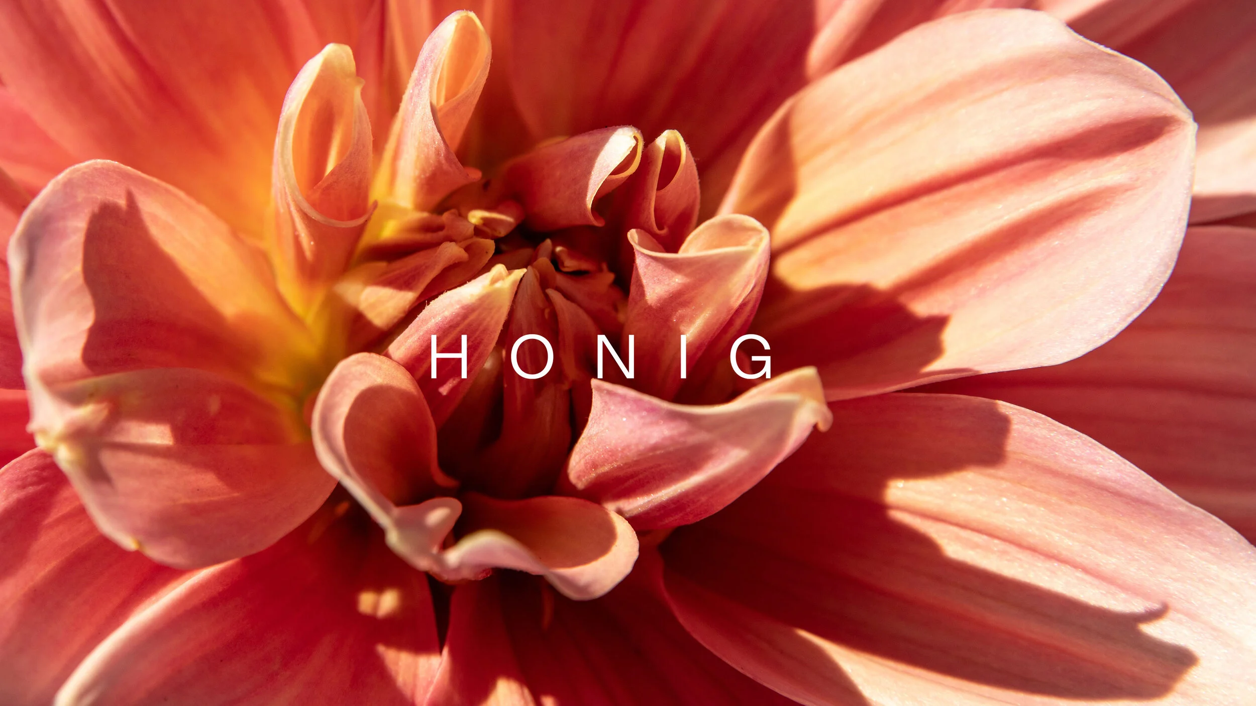 Honig - Packaging Design — Bureau Mitte Designagentur Frankfurt