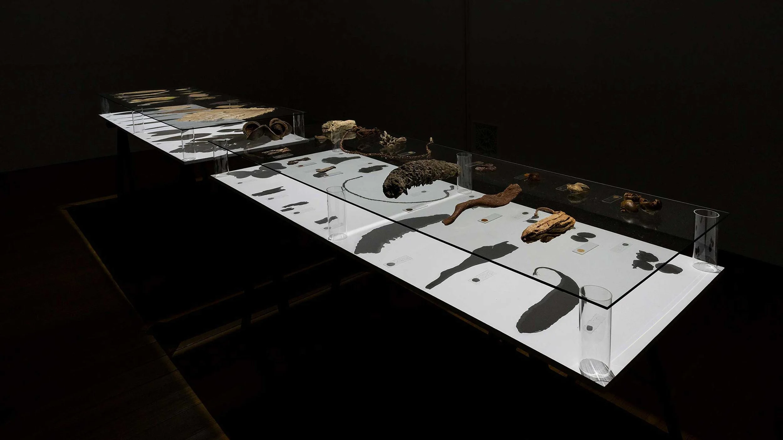 Bureau-Mitte-Designagentur-Ausstellungsgrafik-The-Senses-of-Plants-9+.jpg