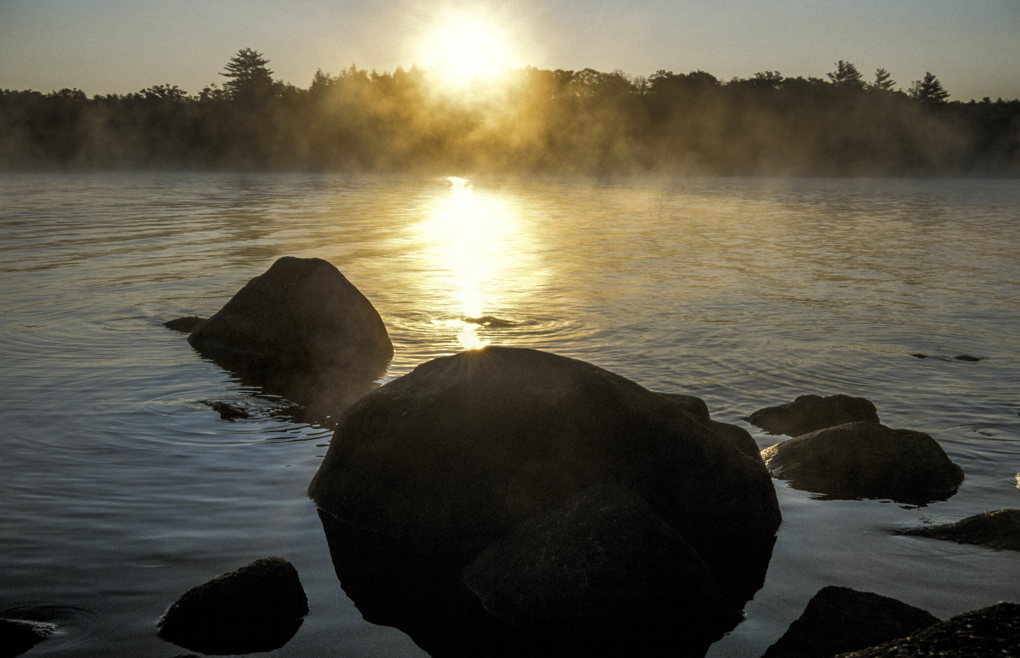 shutterstock_576094621.jpg
