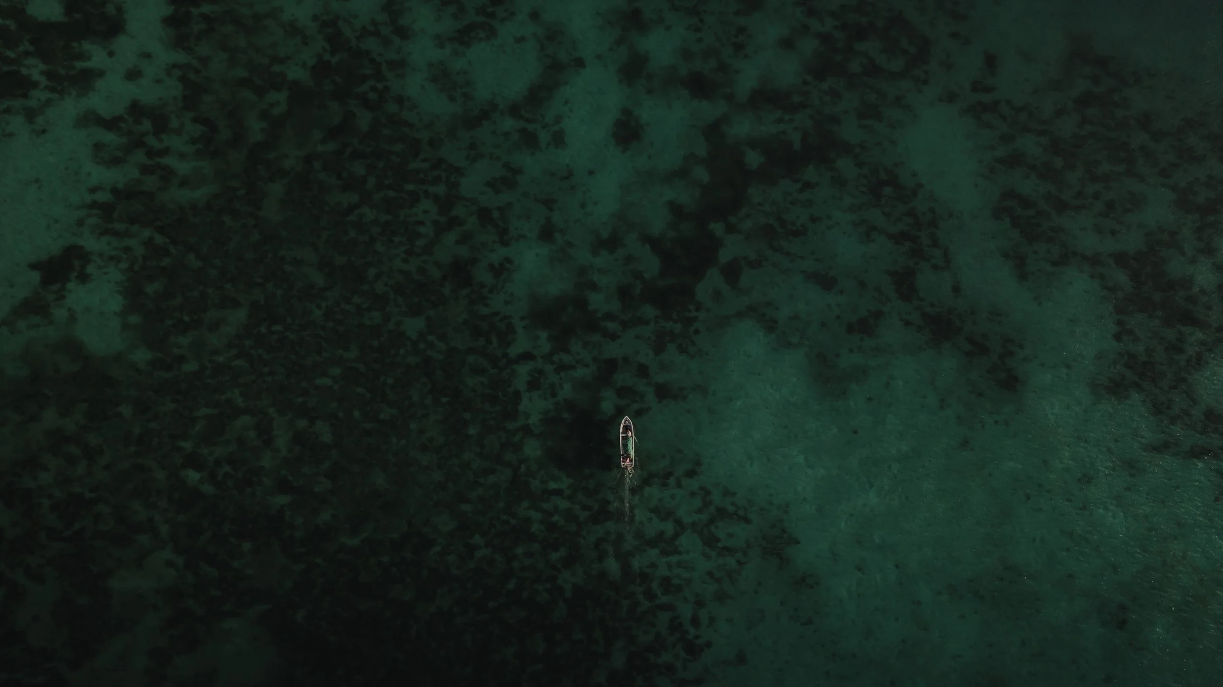 DJI_0650.jpg