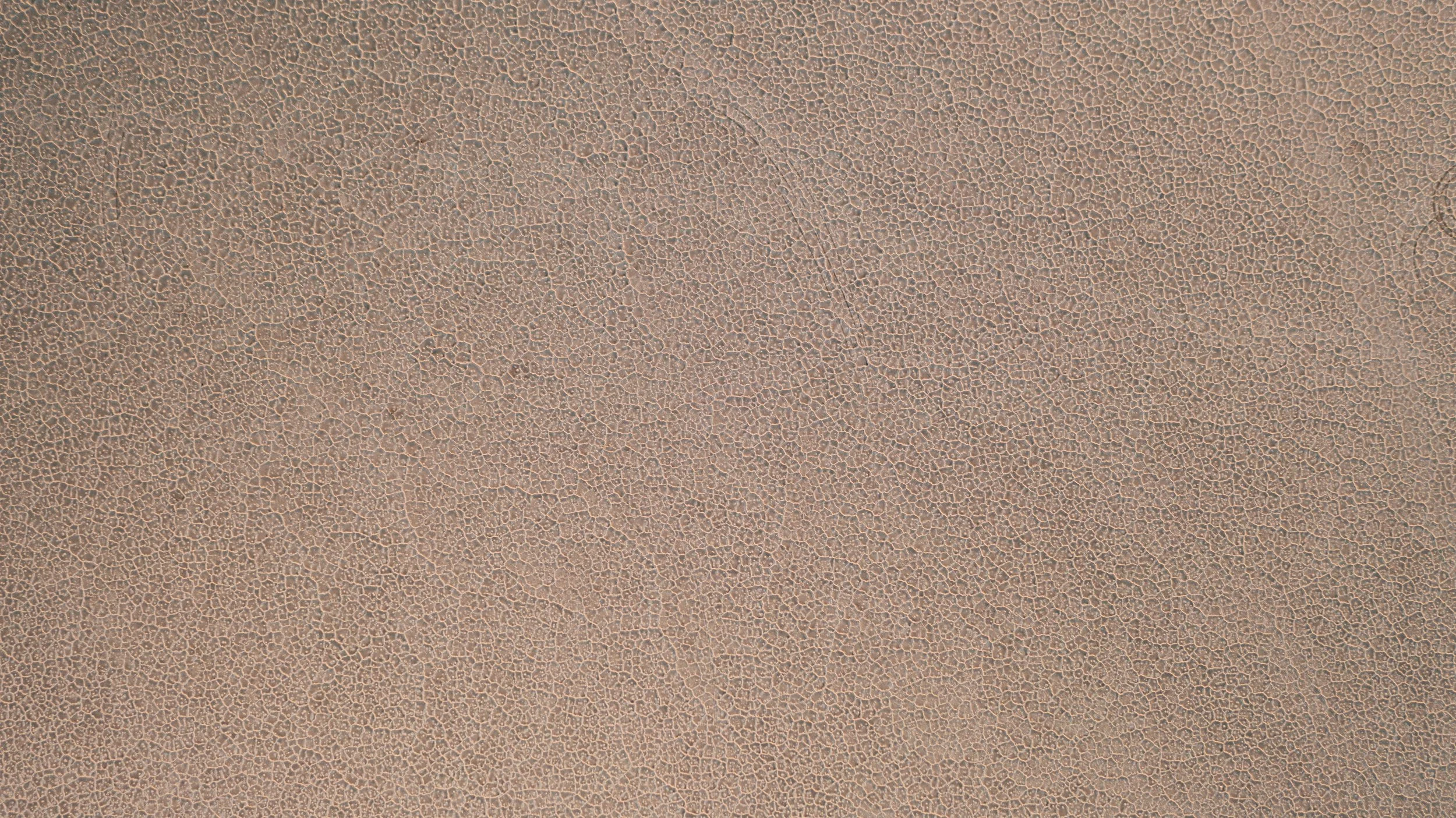 DJI_0891.jpg