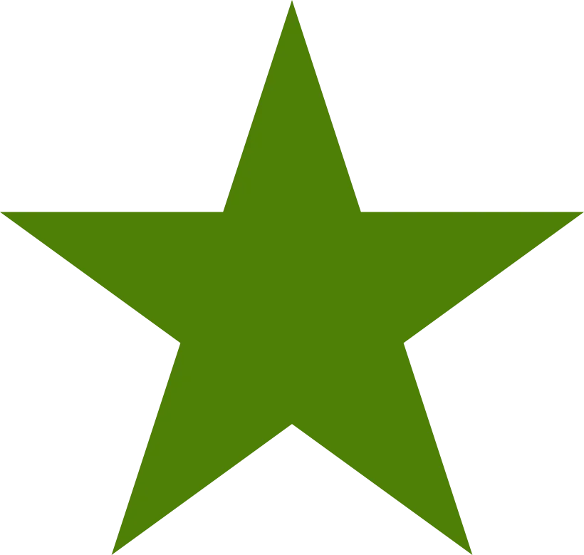A large, solid green five-pointed star with a black background.