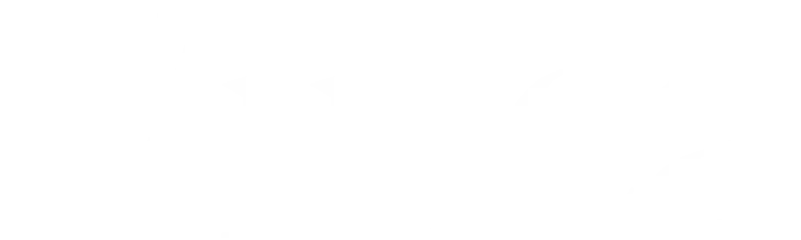 Close-up of a black and white pixelated text image of the word 'Viva.'