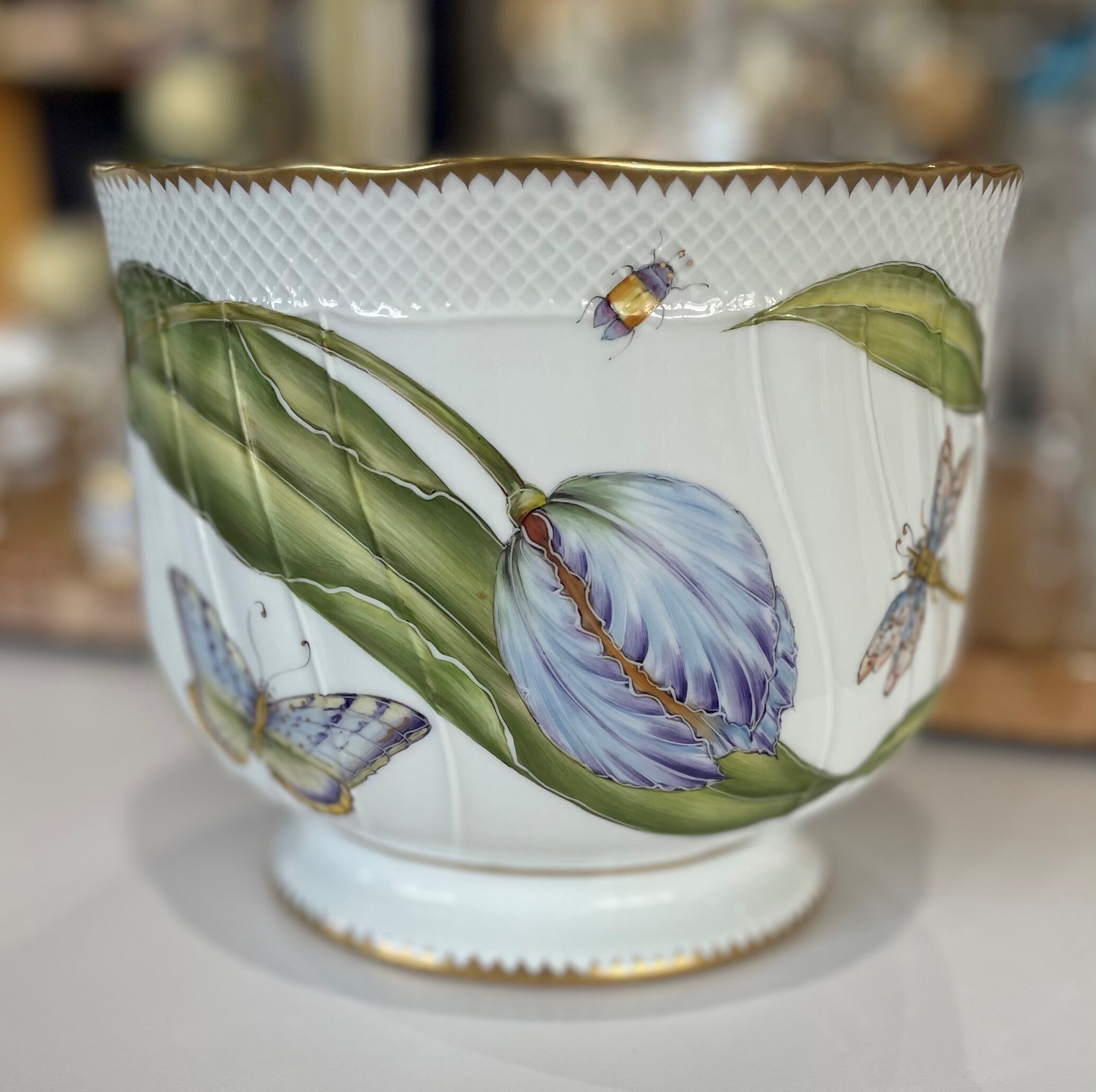 Tulip Round Cachepot- Anna Weatherley