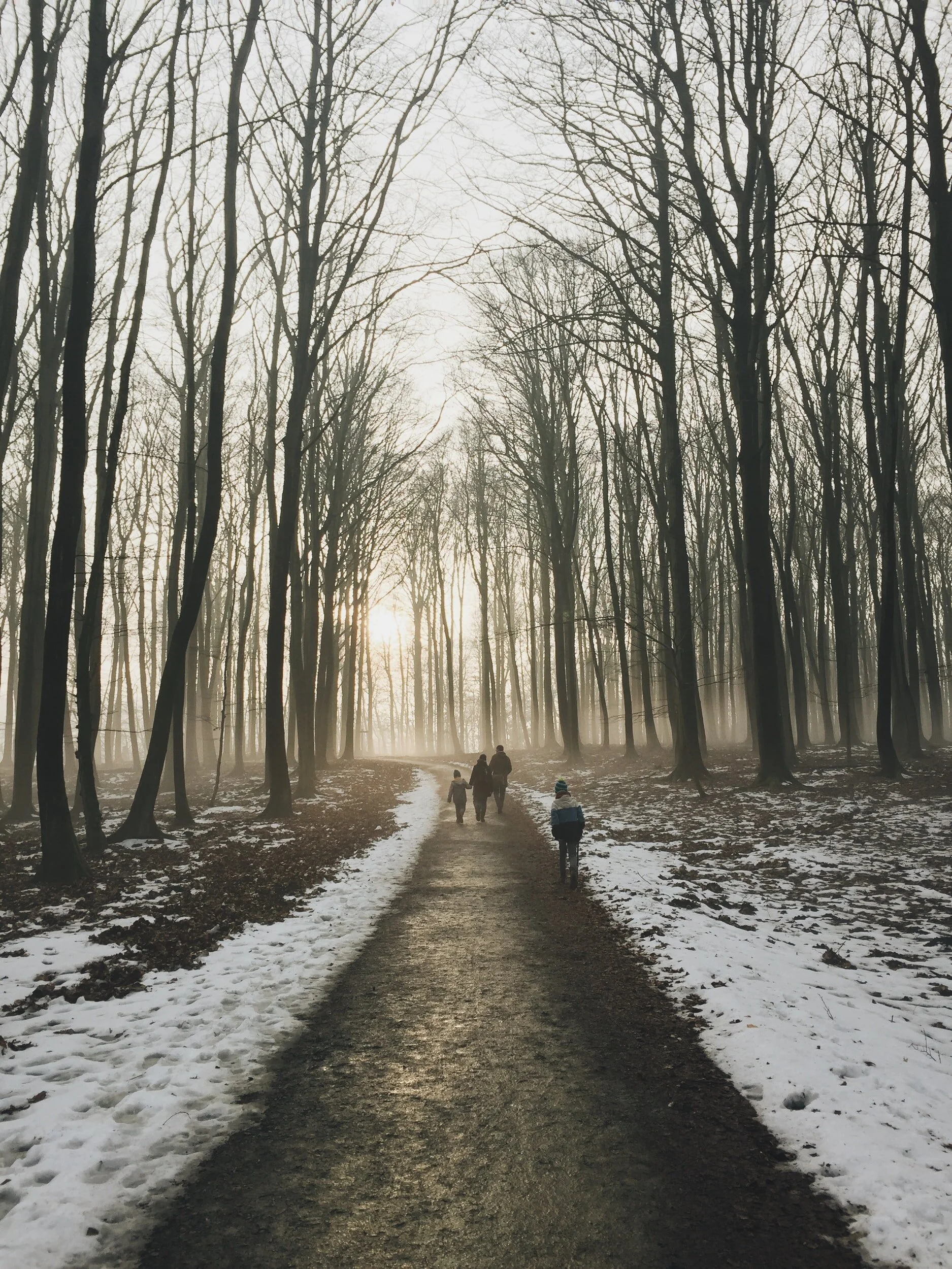 VA Association for the Gifted is Offering a Free Workshop for Parents