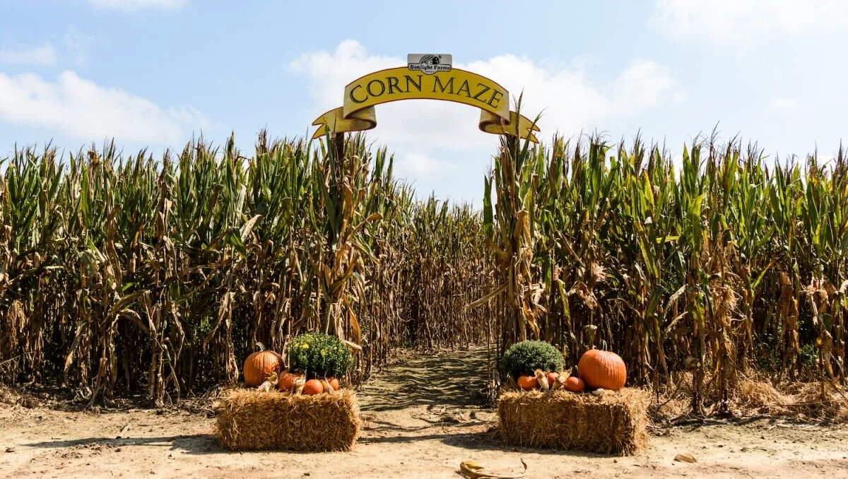 Join BRVGS at the Largest Corn Maze in Virginia!