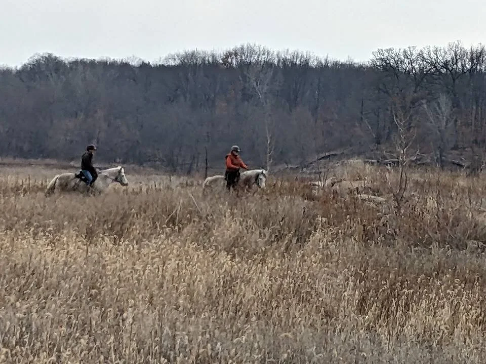 around the farm pic1.jpeg