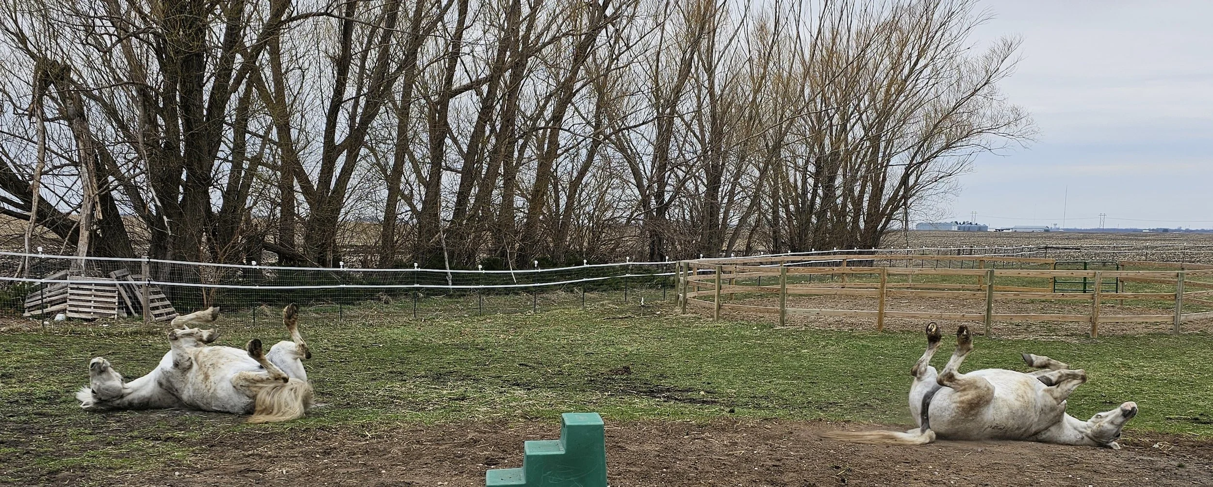 around the farm 3.jpg