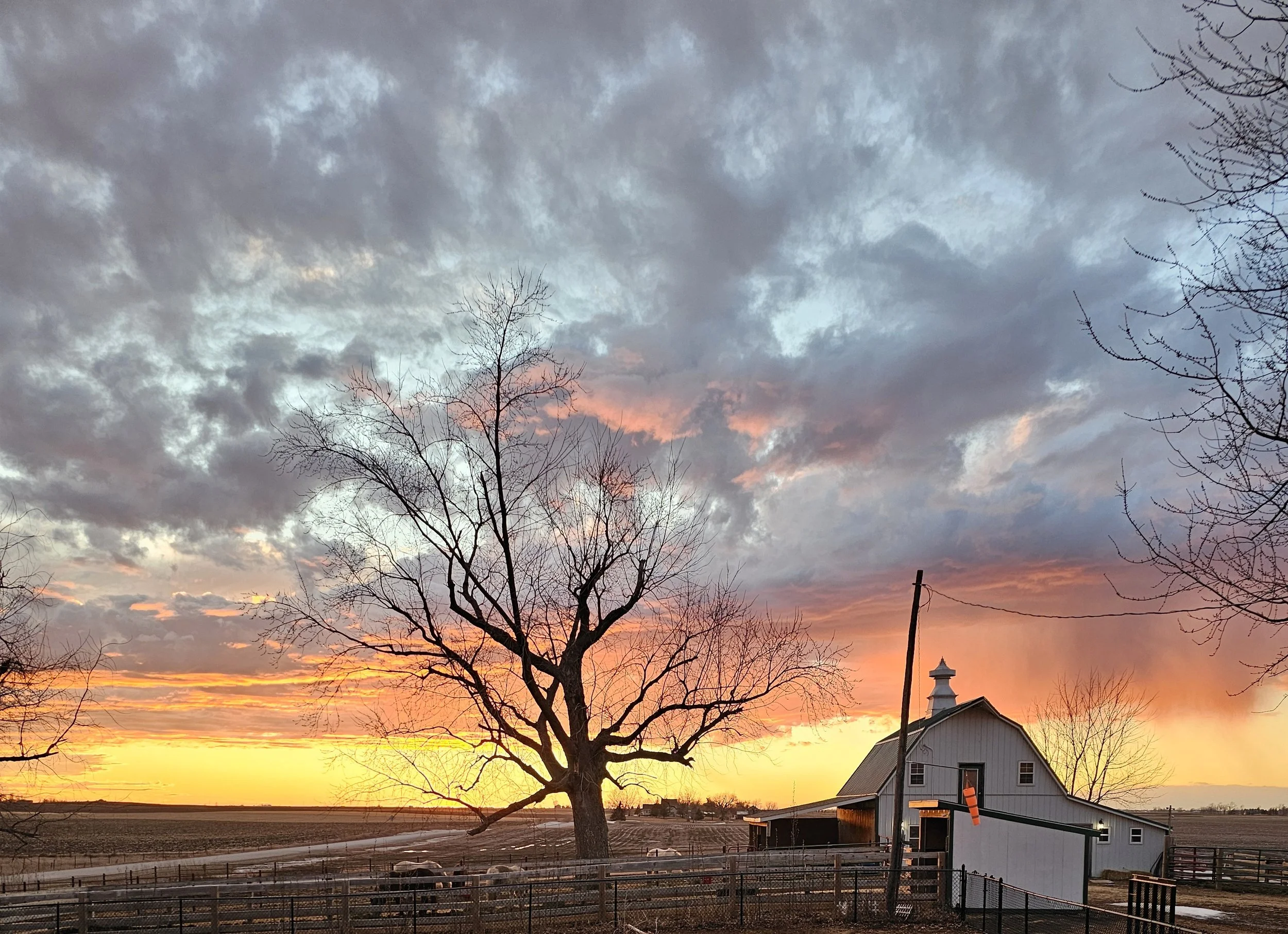 sunset.jpg