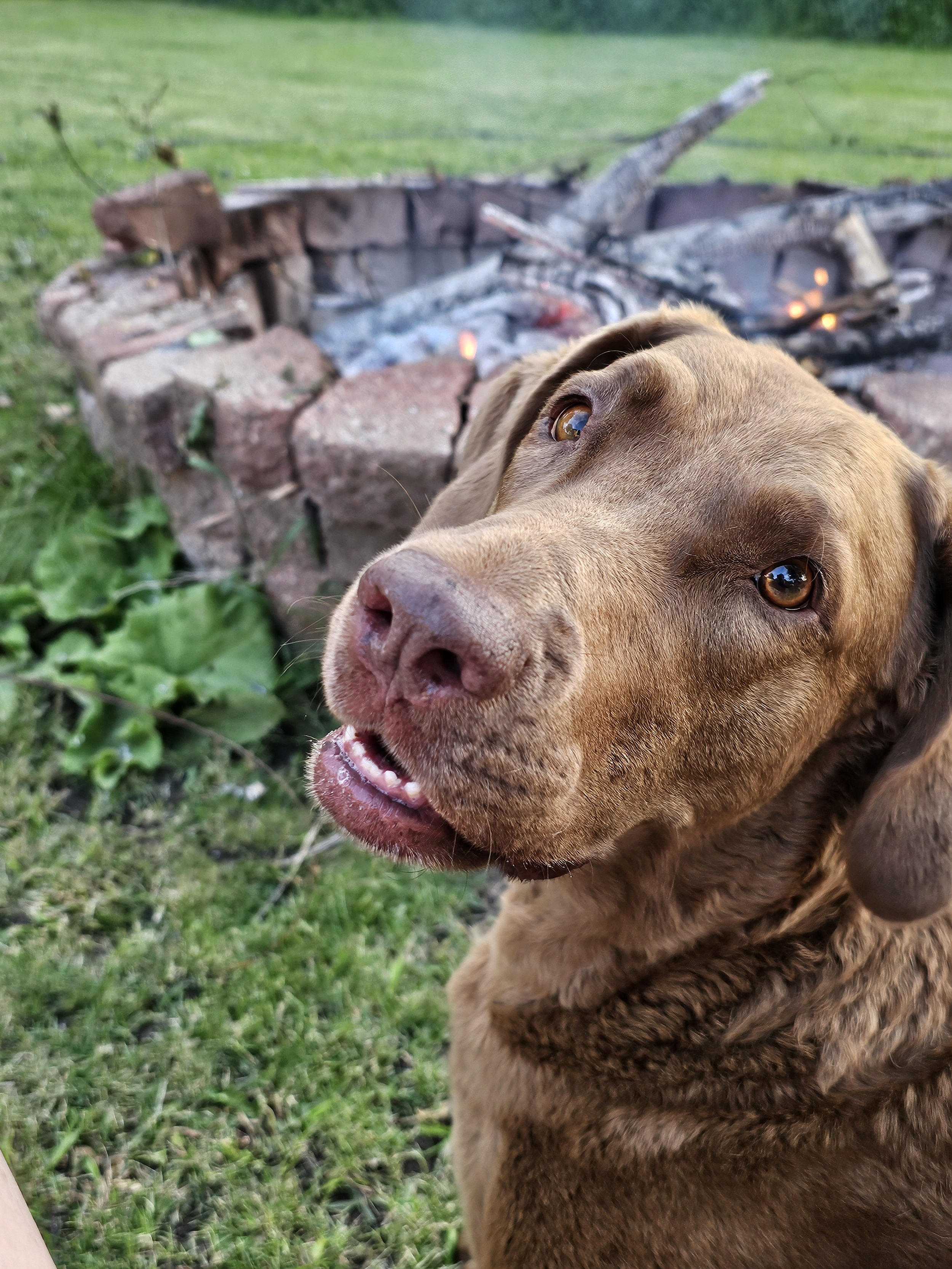 aiko photo bomb.jpg