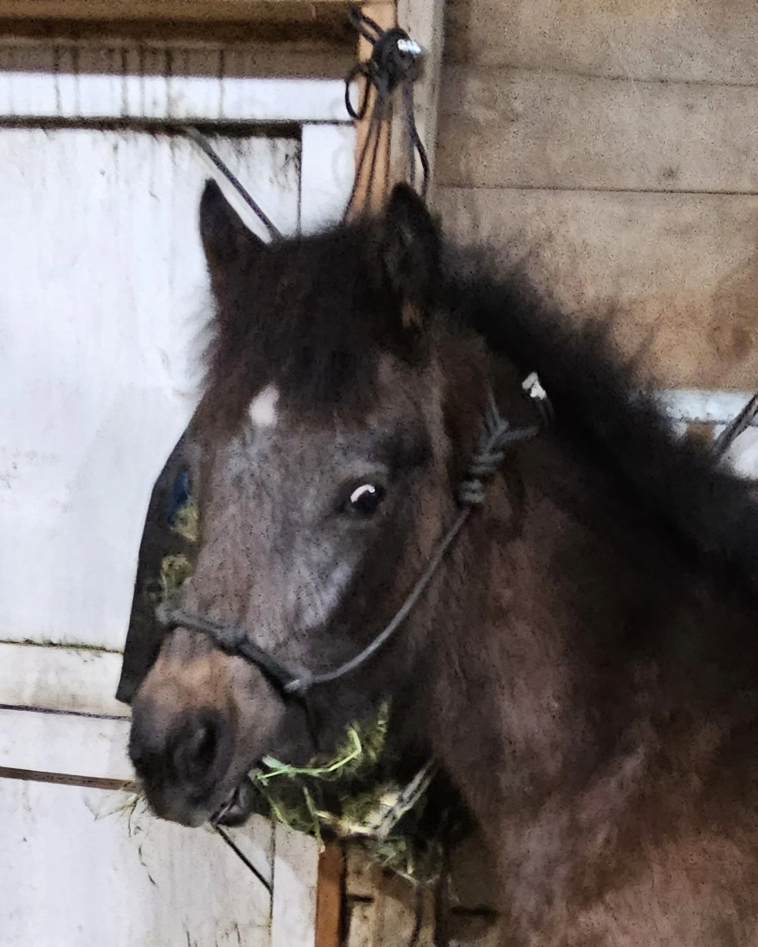 sunshine best side eye.jpg