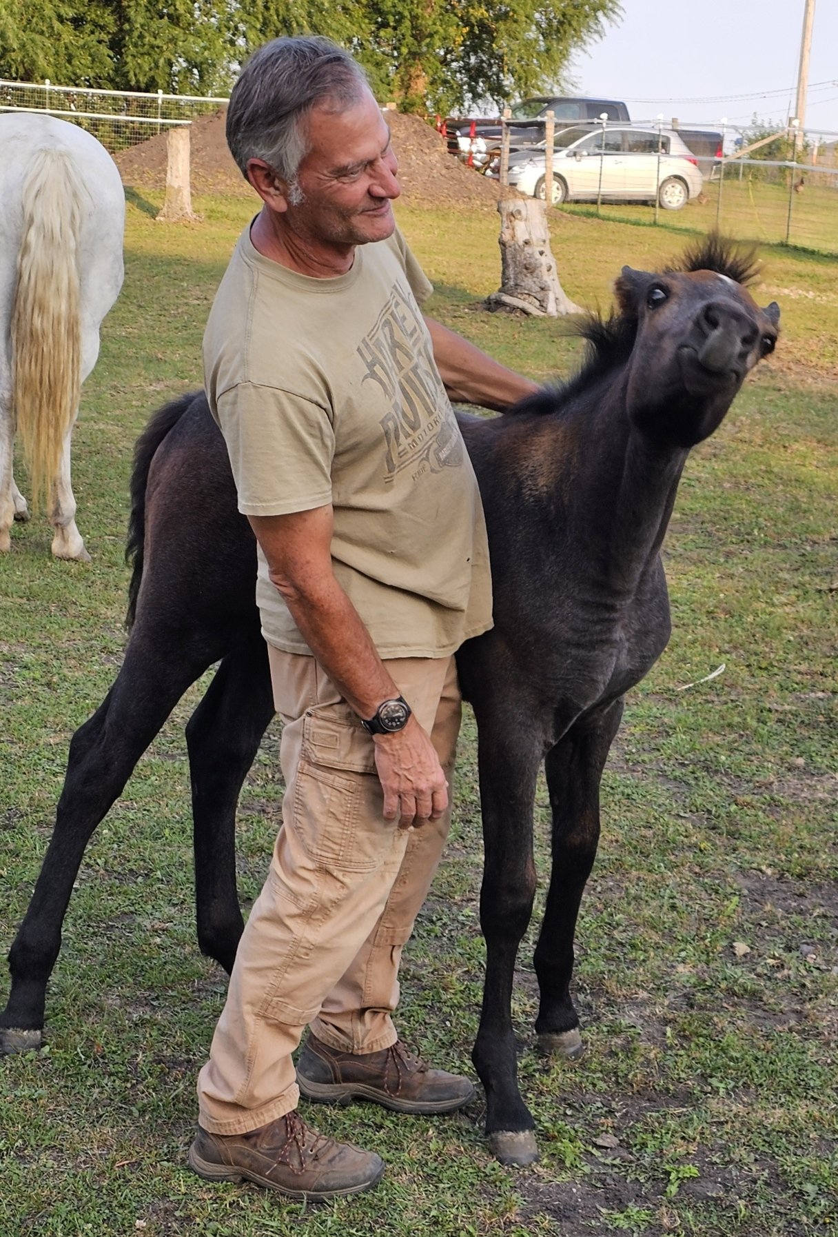 sunshine getting scratches from larry.jpg