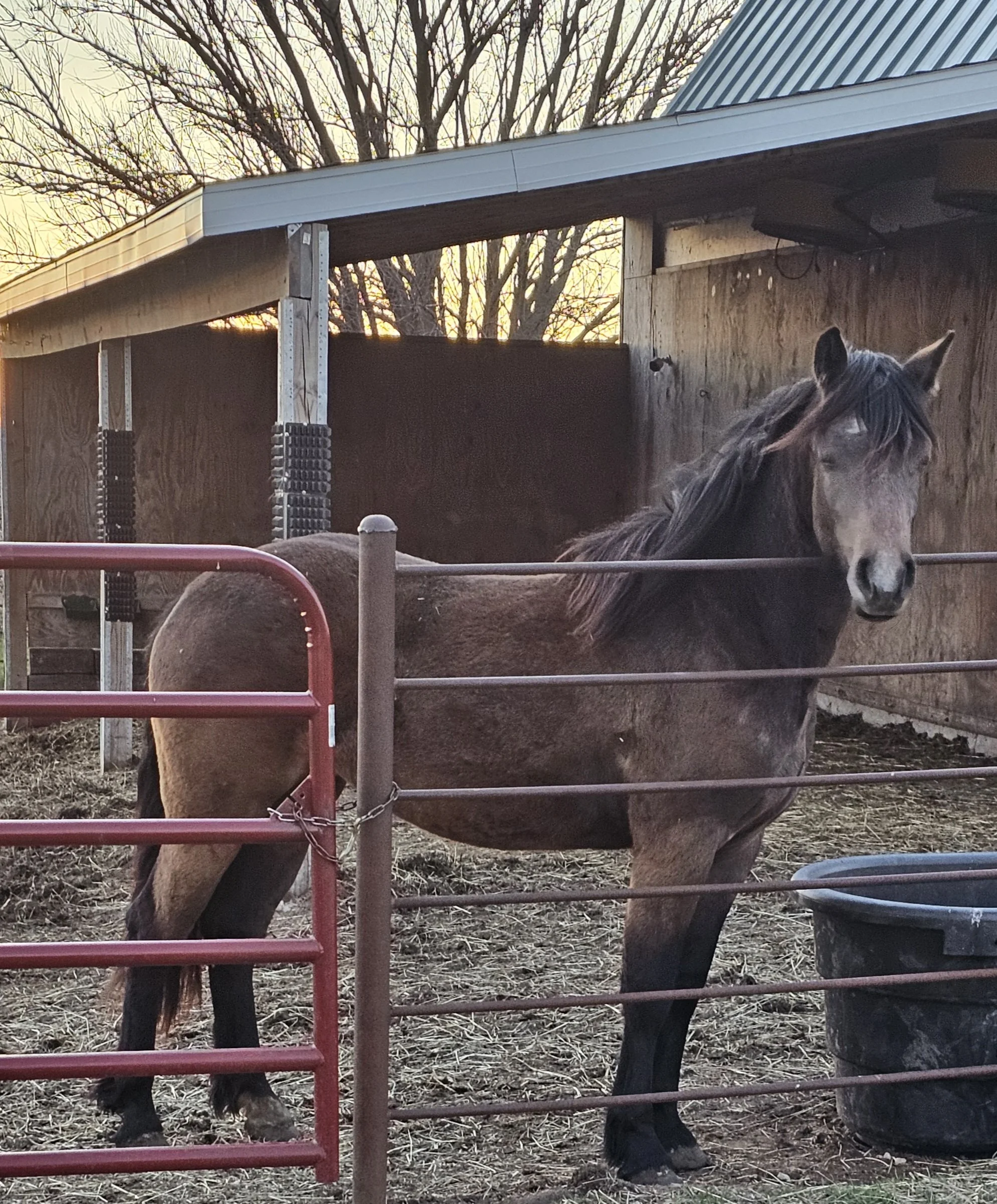 willia age 3 2nd shot.jpg