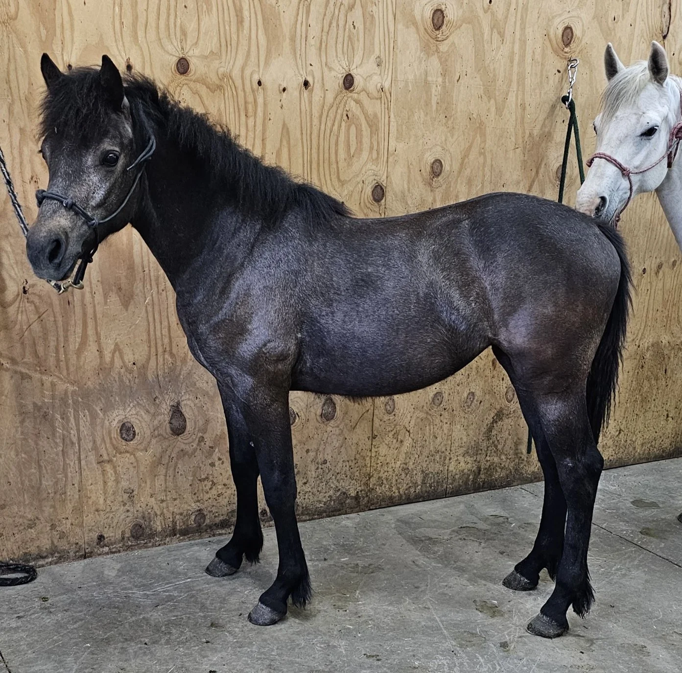 baby sunshine at kyles place.jpg