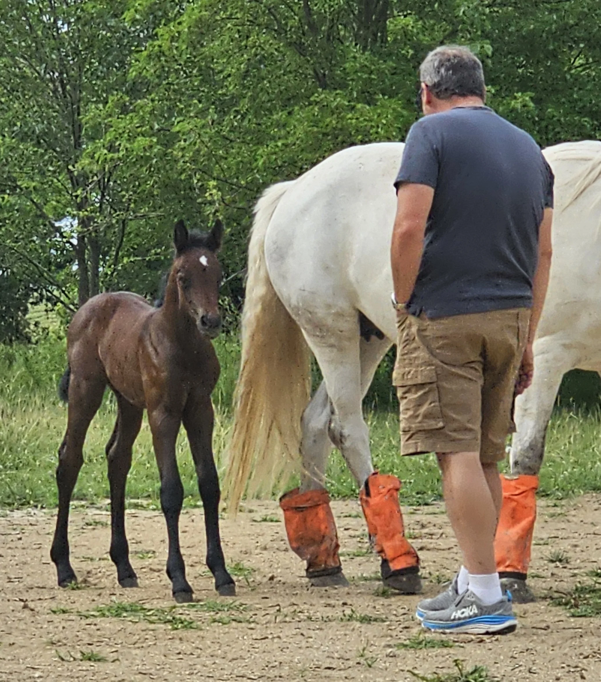 sunshine and pat 2.jpg