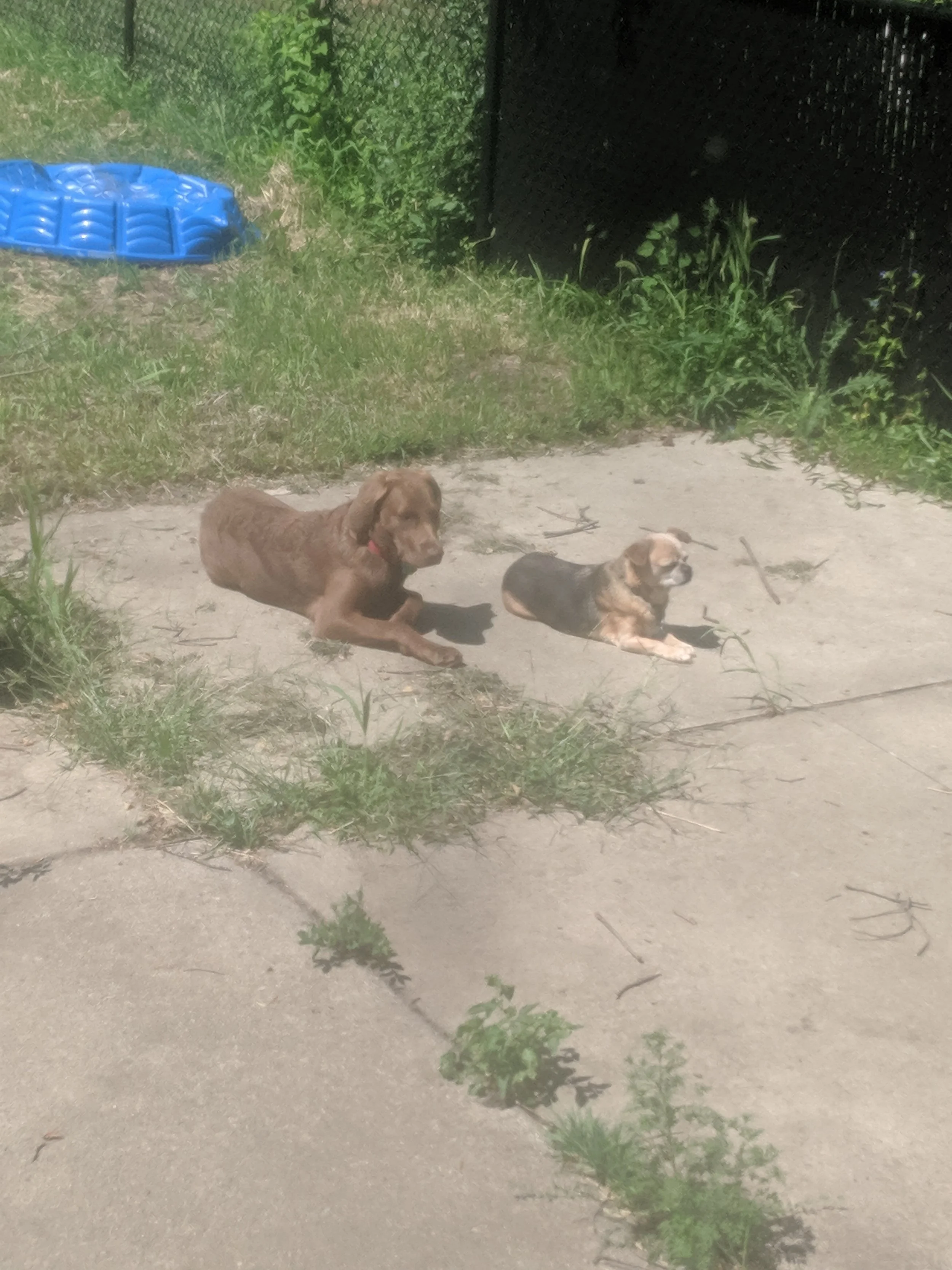 IMG_20190819_125908.jpg