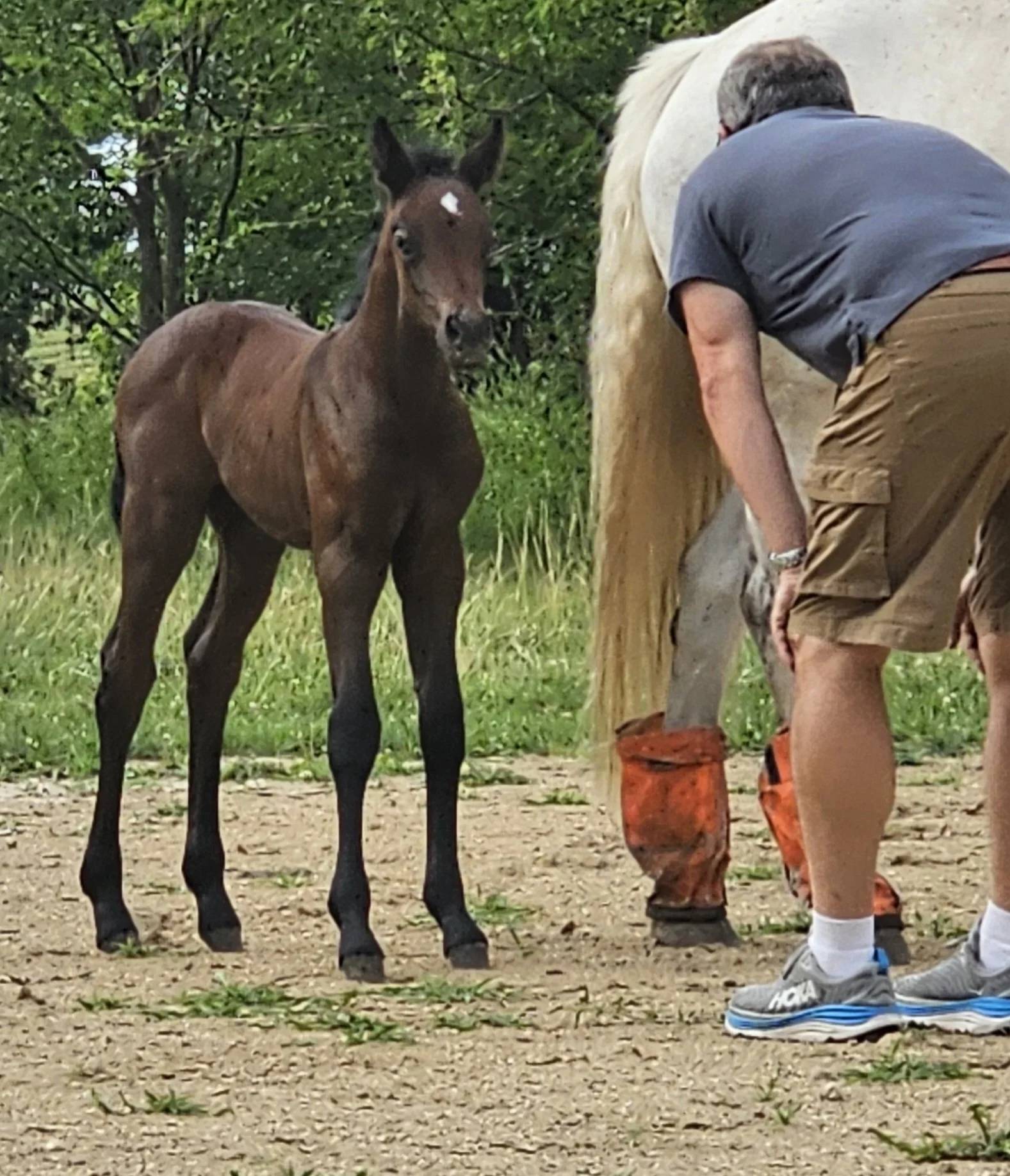 sunshine and pat.jpg