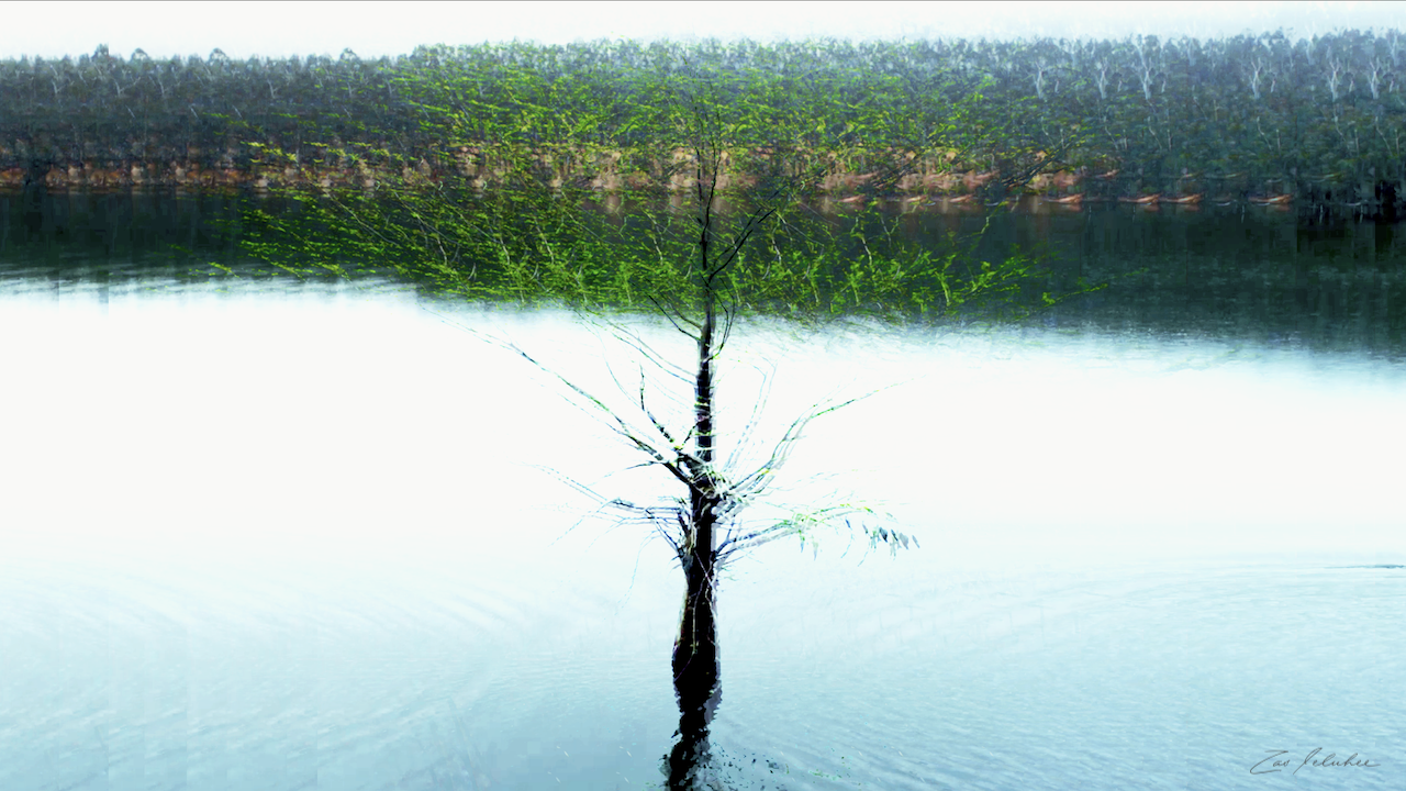 hallu dédoublement.png