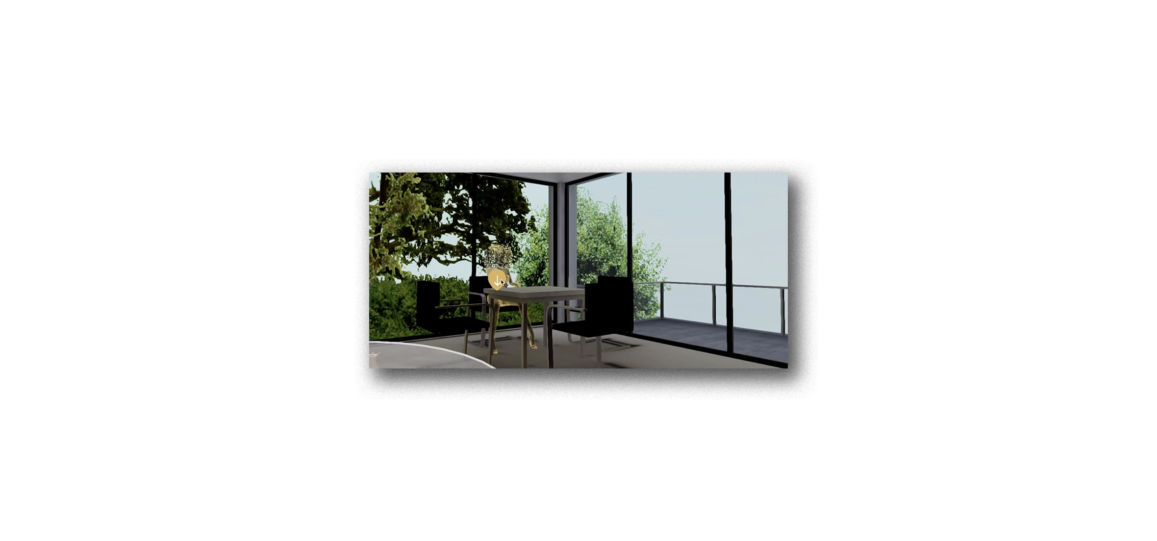 website-scopophilic header-image.png