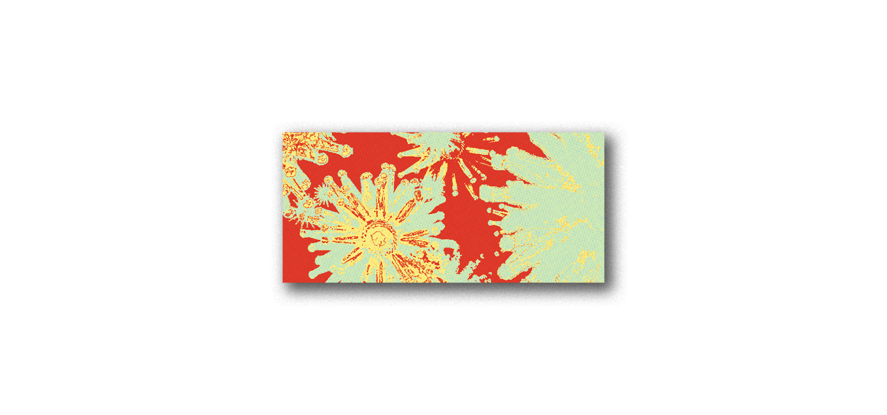 website-m'ah' header-image 2.png