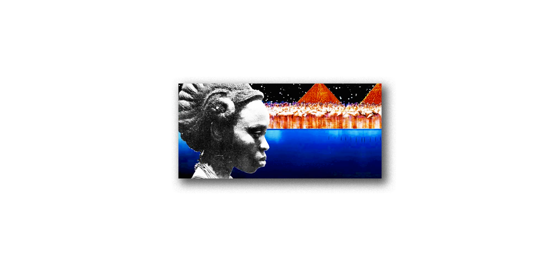 website-afropunk header-image.png
