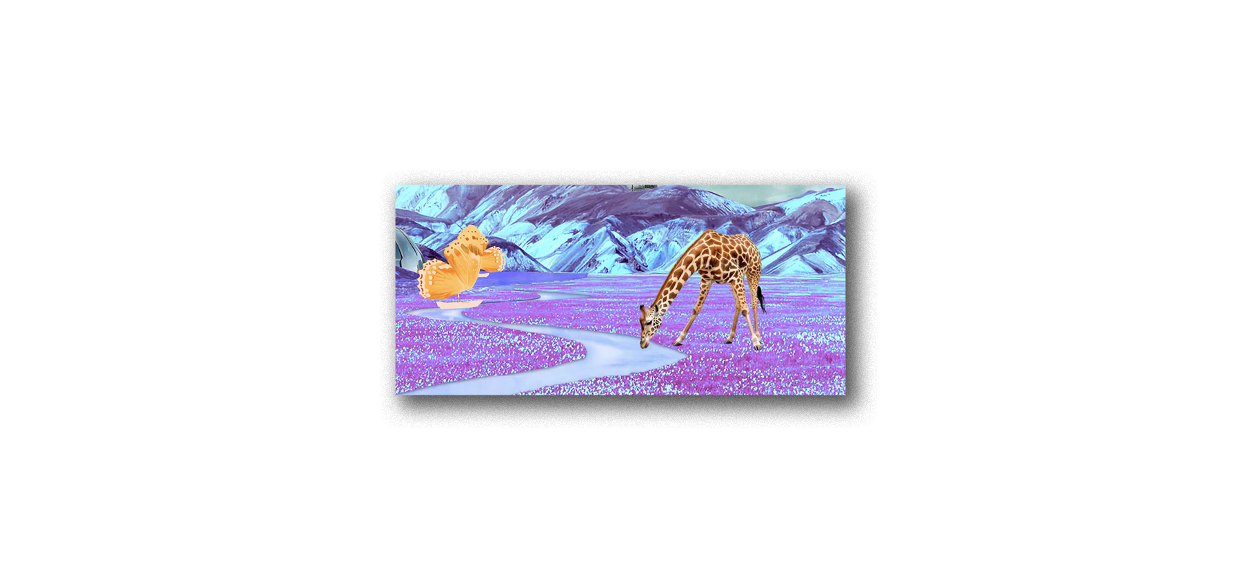 WNK header-image.png