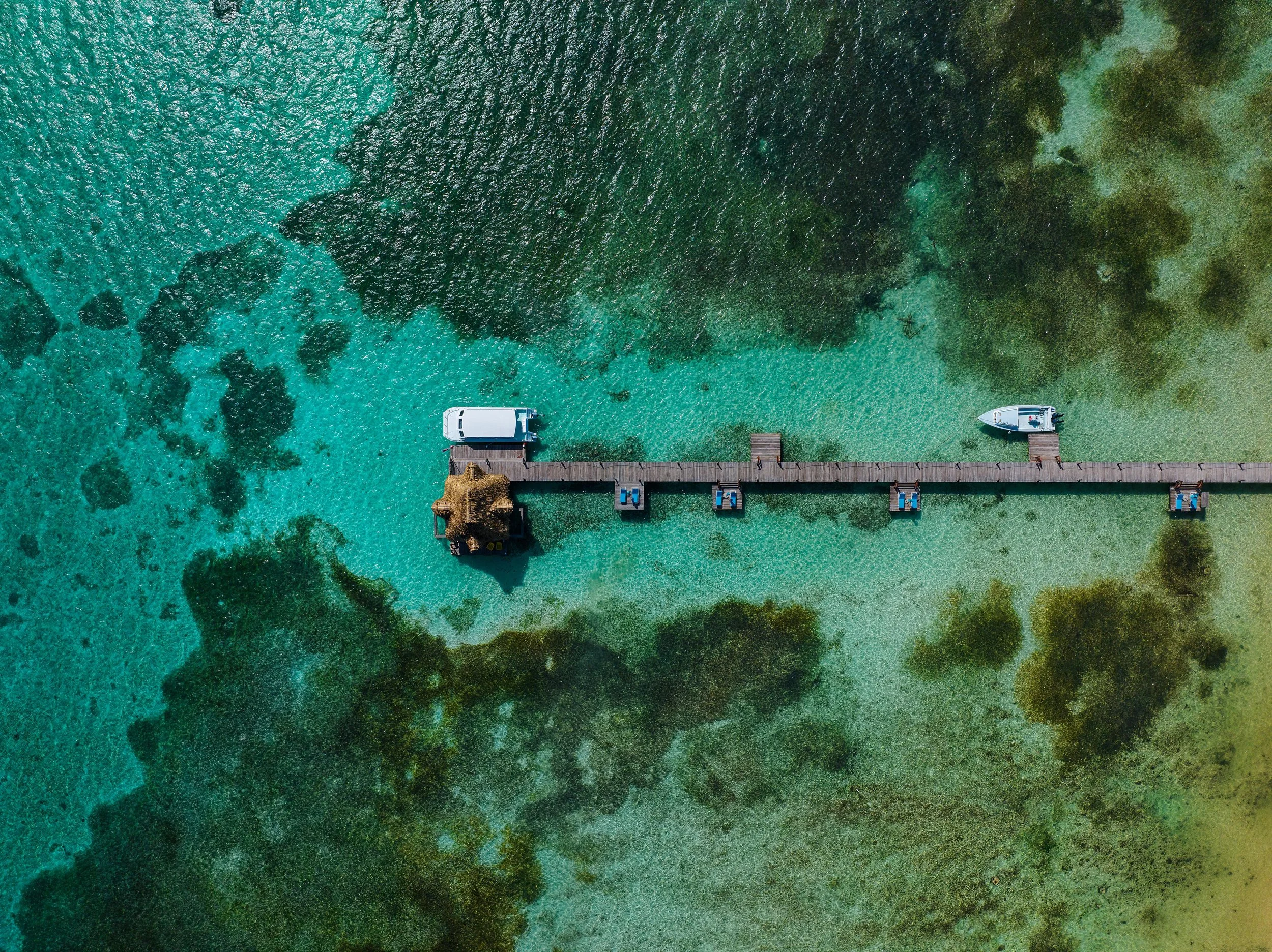 DJI_20241210121313_0041_D-Edit-Edit copy.jpg