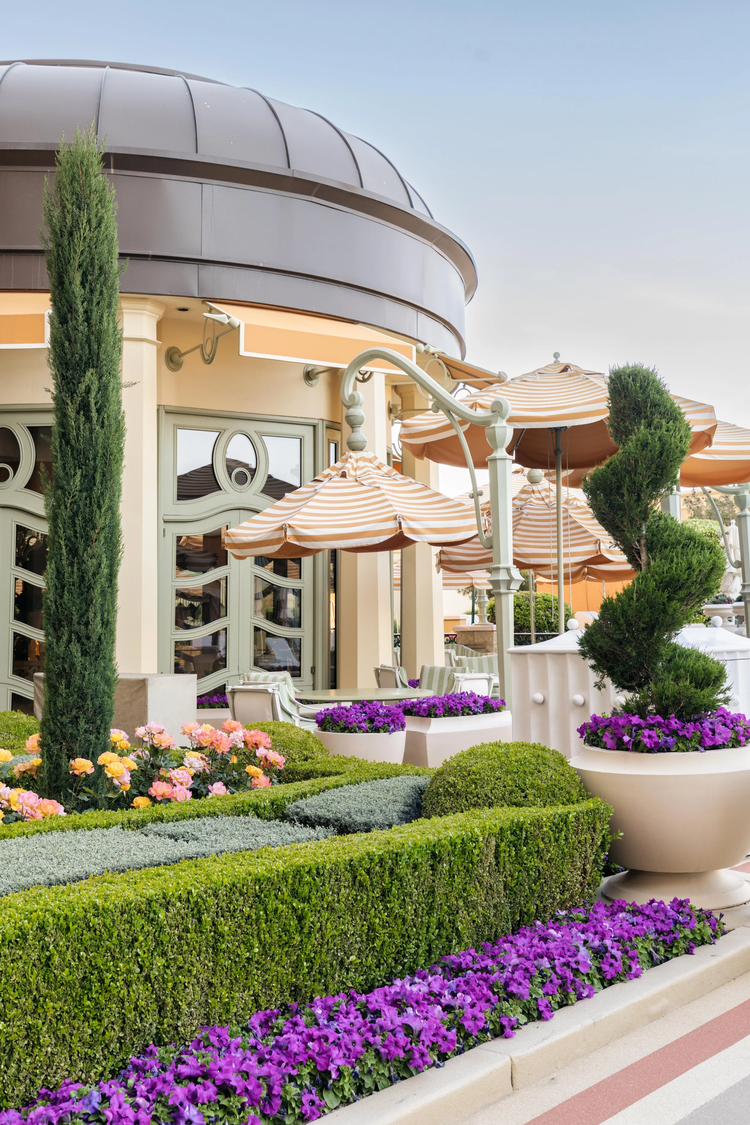 BV6A9043-Edit copy.jpg