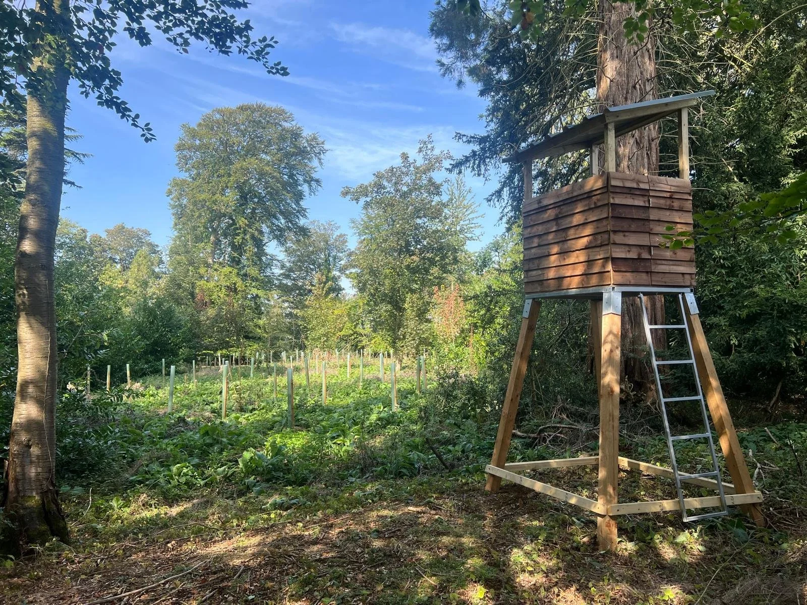 51c468ea-d2eb-479a-bda0-1a5a5ead2dbc 2.JPG