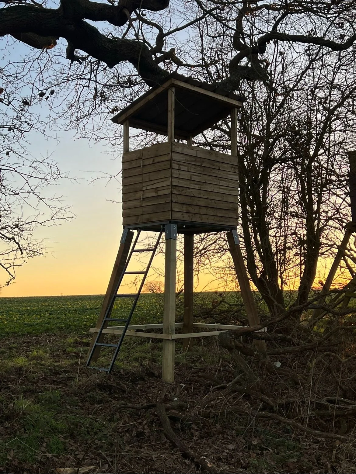 acda93b3-9491-493c-b19d-34d9150bfc69 2.JPG