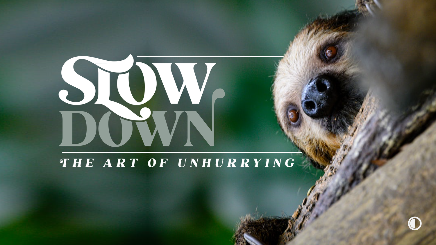 Quality > Quantity | Slow Down | The Art of Unhurrying episode artwork