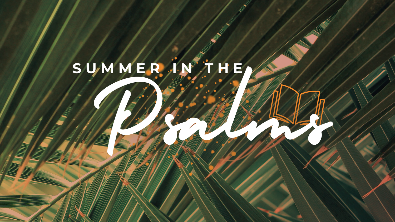 Psalm 121 | Summer In The Psalms episode artwork
