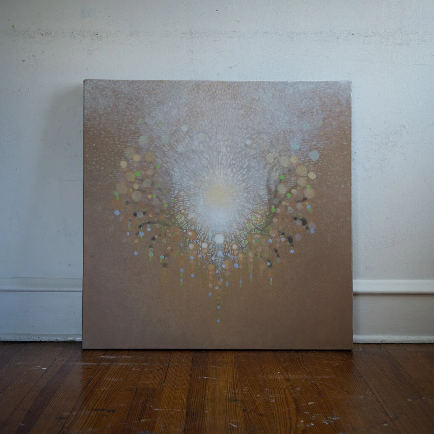 Spectrum Series-02489.JPG