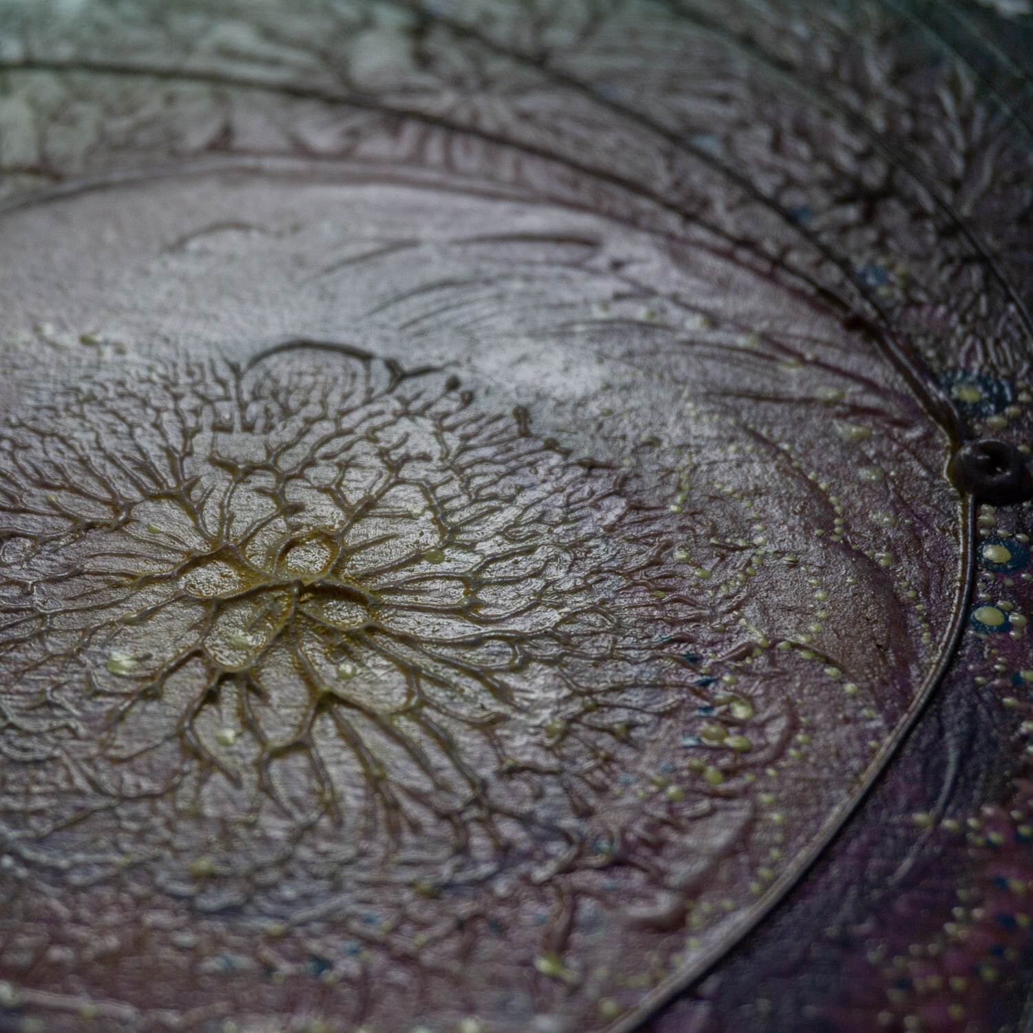 Eden Experiment.SiobhanBedford.Blog-03127.JPG