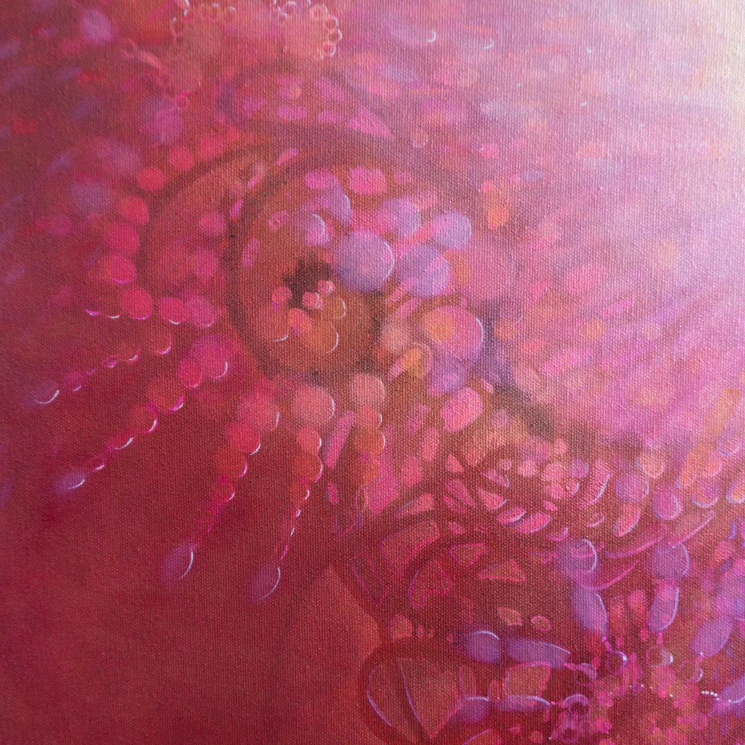 Hot Pink - Spectrum Detail 4-03761.JPG