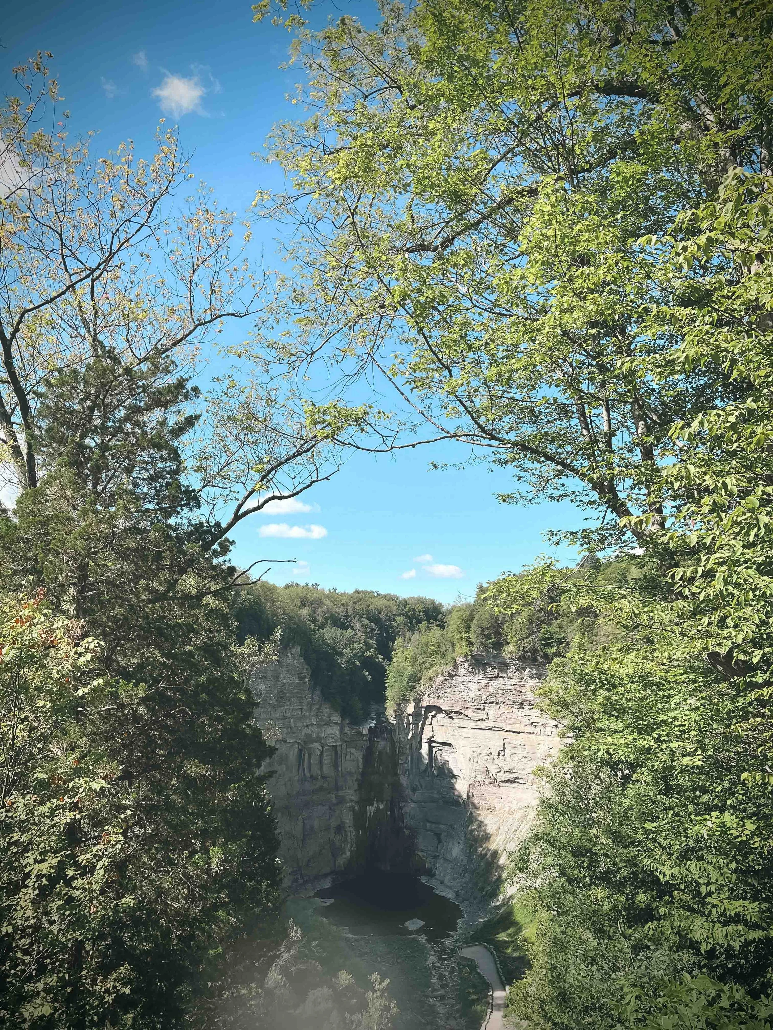Finger Lakes- 2022.Siobhan Bedford-20.jpg