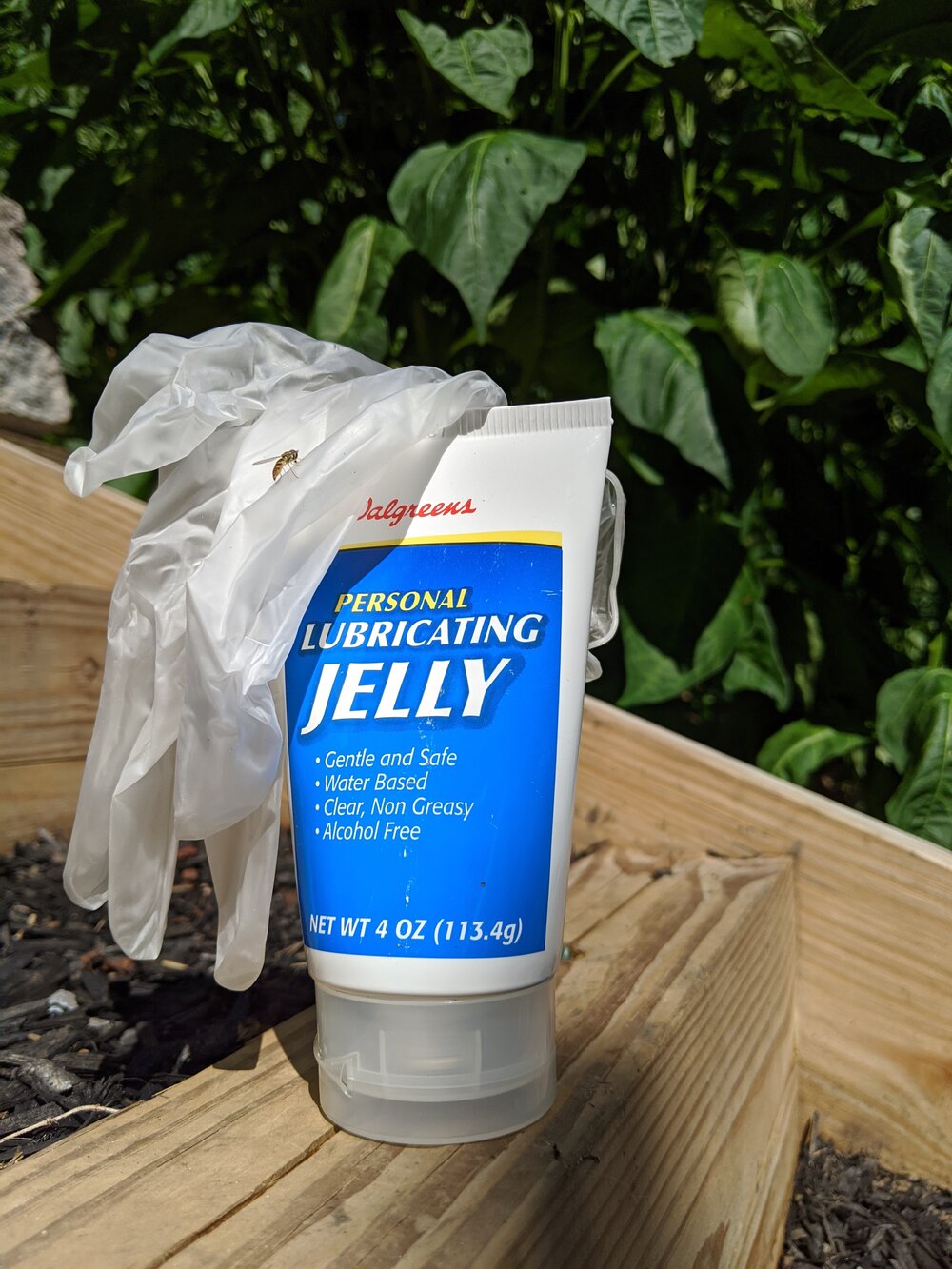 Lubricating Jelly