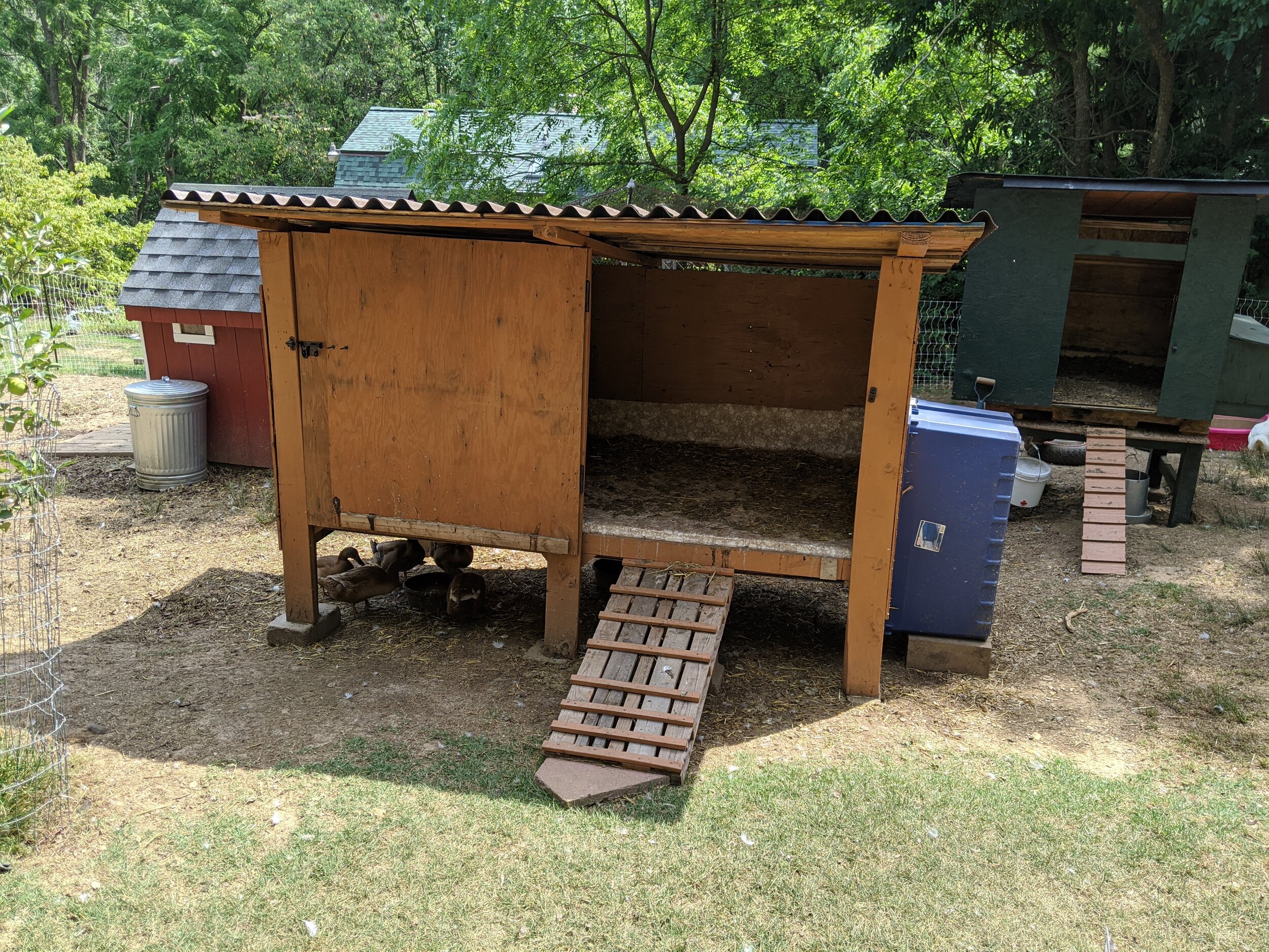 How To Build A Duck House
