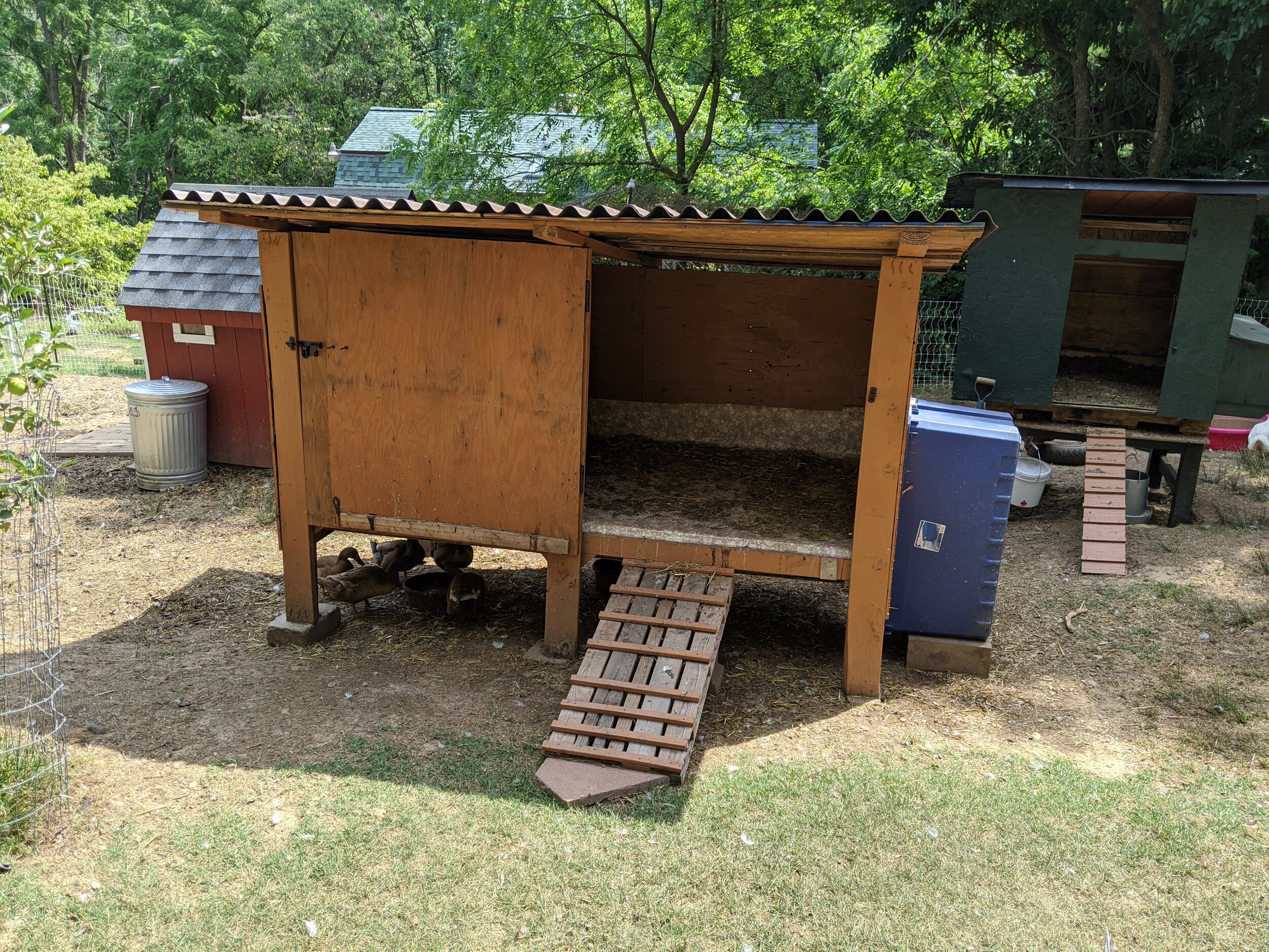 Building A Duck House - Diy — Tejas Farm