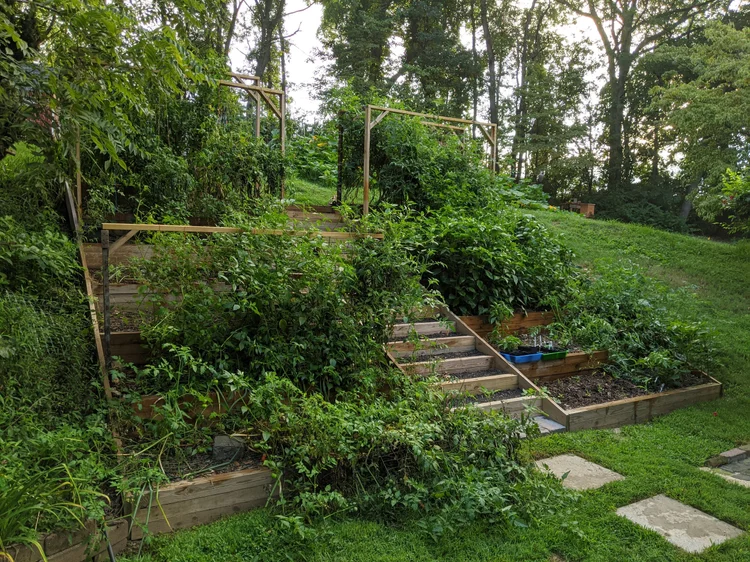 Can You Plant a Vegetable Garden on a Slope: Tips & Tricks