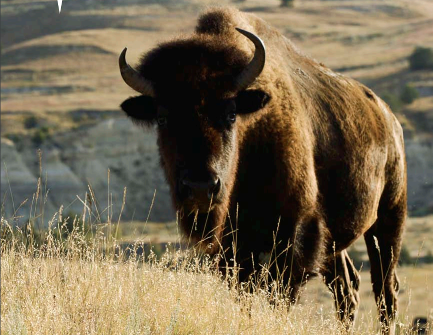 National Parks Conservation Association