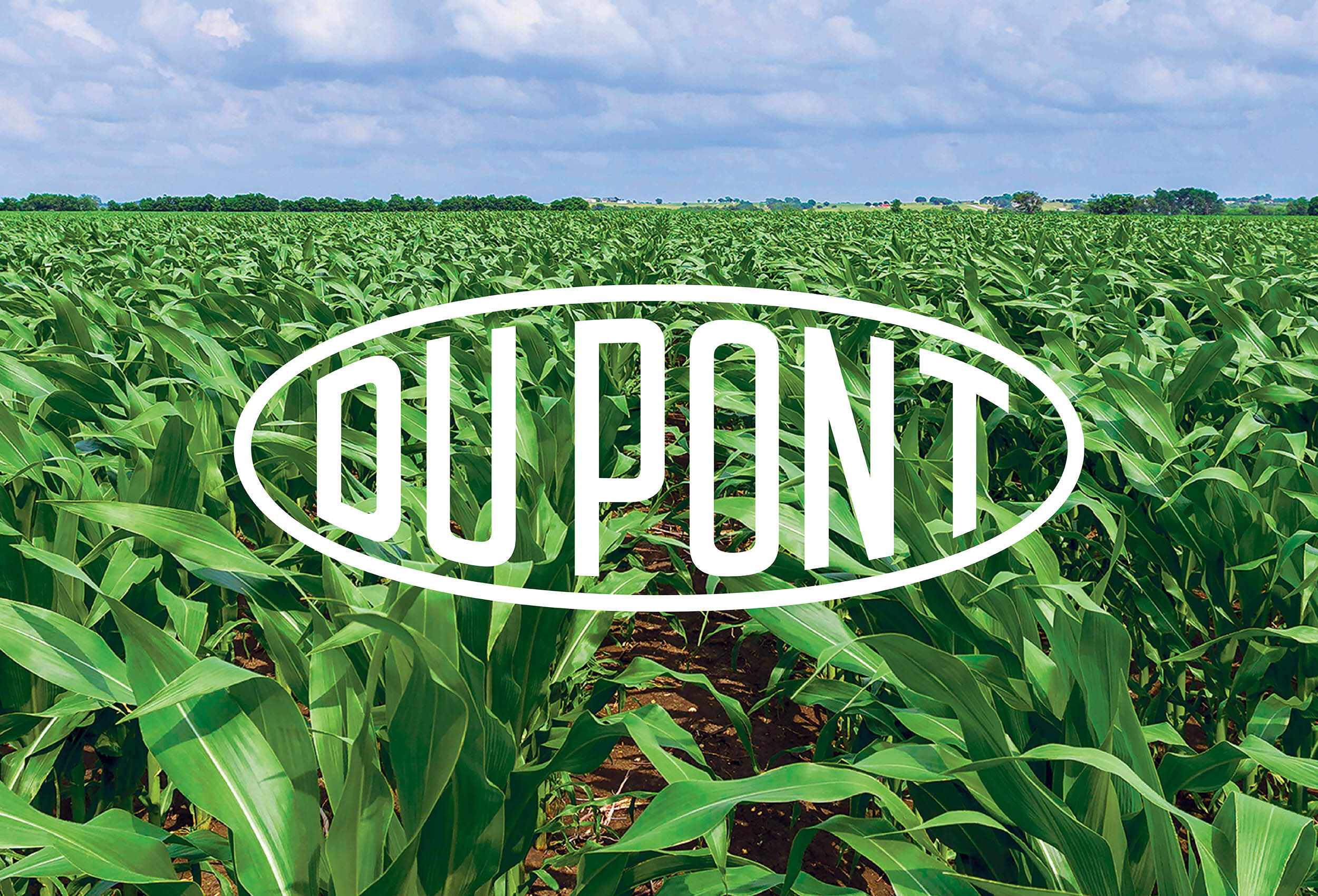 dupont_intro.jpg