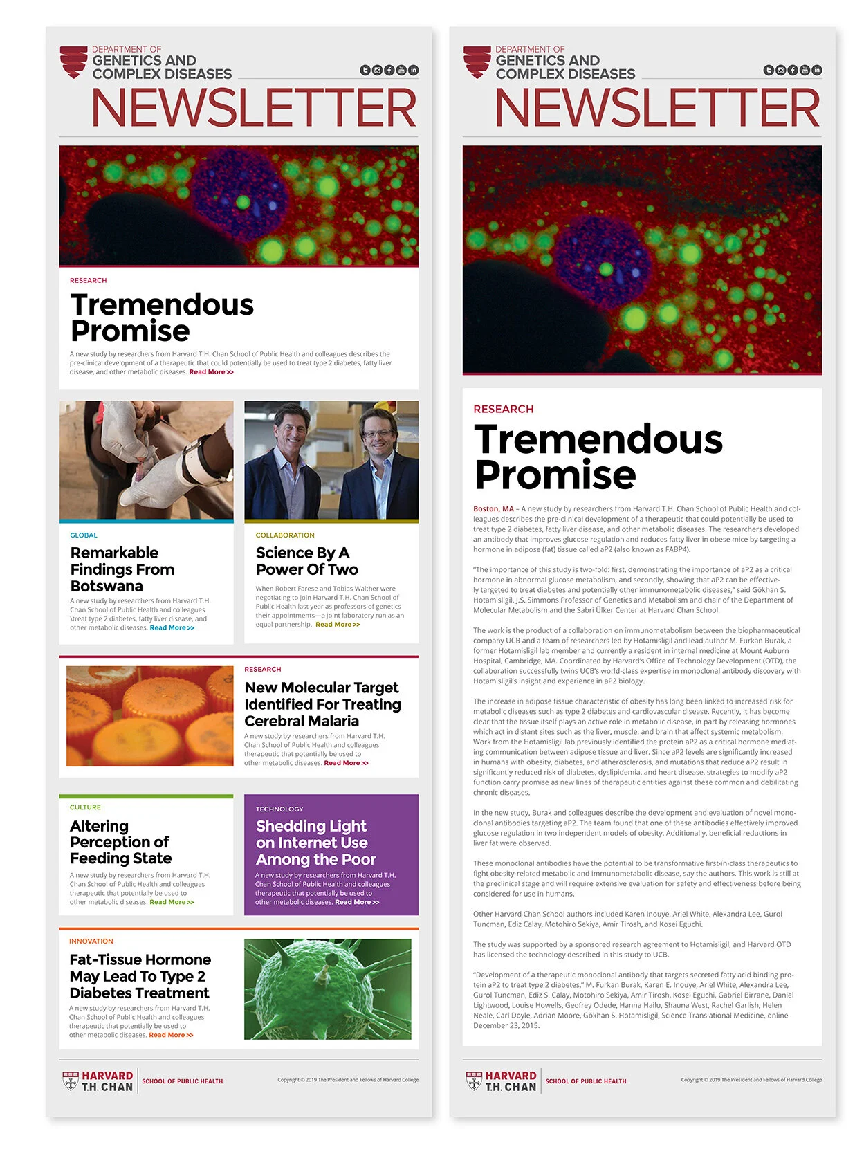 Fgi Harvard T H Chan School Of Public Health