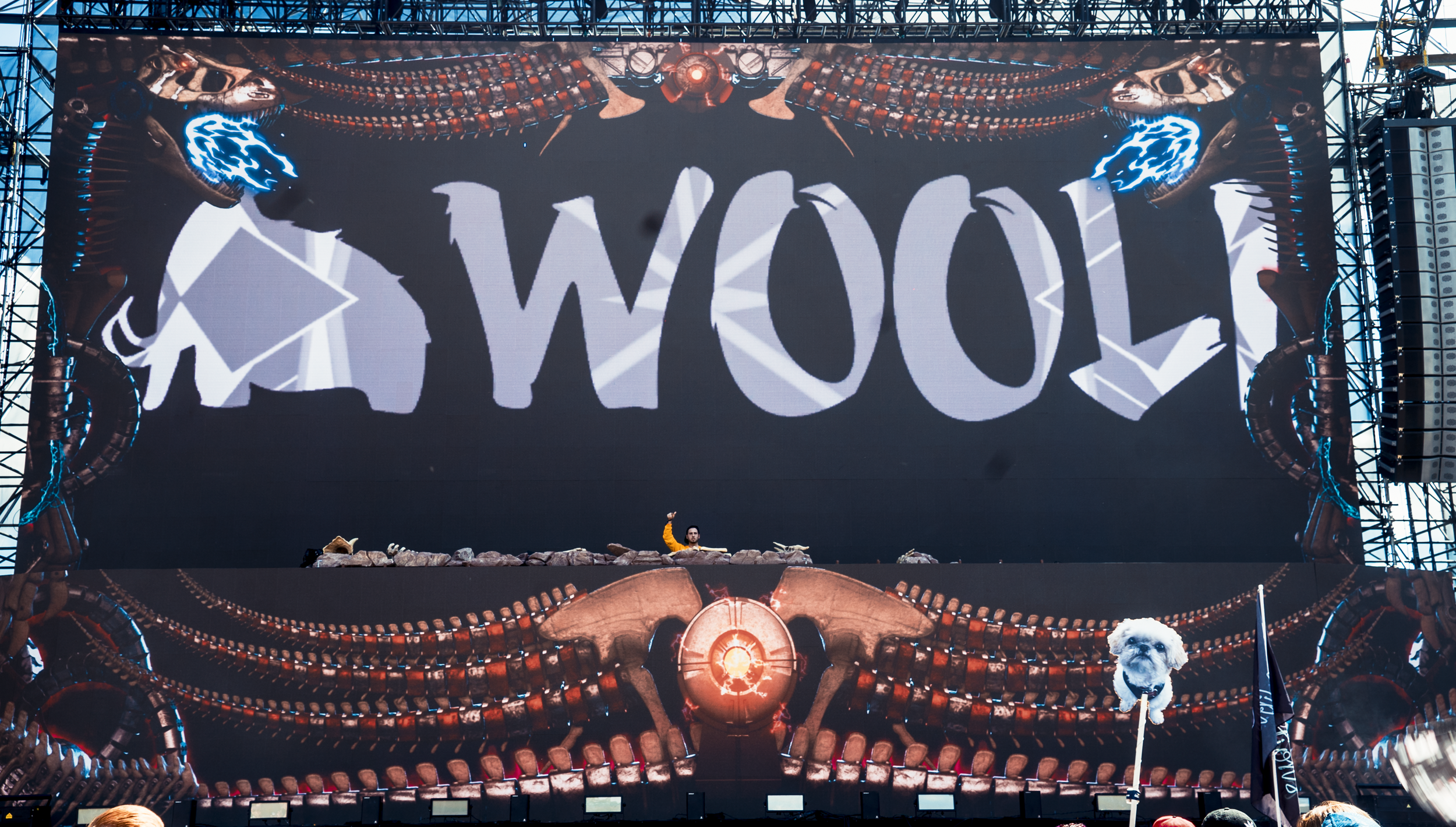 Wooli_2.png