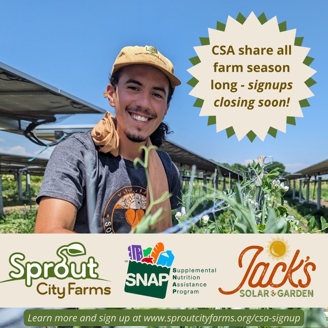 We're just a few weeks away from the start of CSA season!!! That means your last chance to get your farm-fresh veggies is just around the corner.

The farm at Jack's Solar Garden still has vegetable CSA shares available for our Boulder County neighbo
