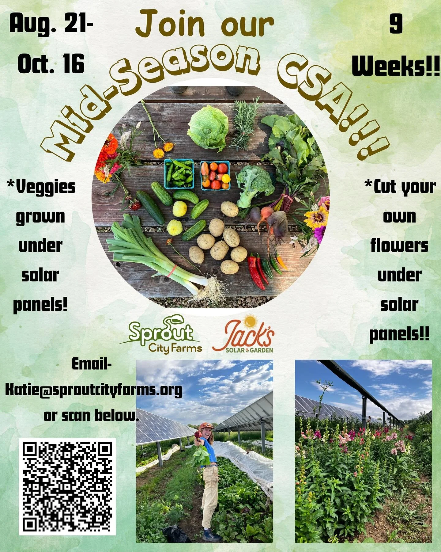 A Mid Season CSA!! Here it is!!! 🍅🌽🫑
@jackssolargarden in Longmont!!!

10 weeks starting next Thursday the 21st of August!

All our summer veggies are about ready with an abundance of tomatoes, eggplant, peppers and more

Join to taste our delicio