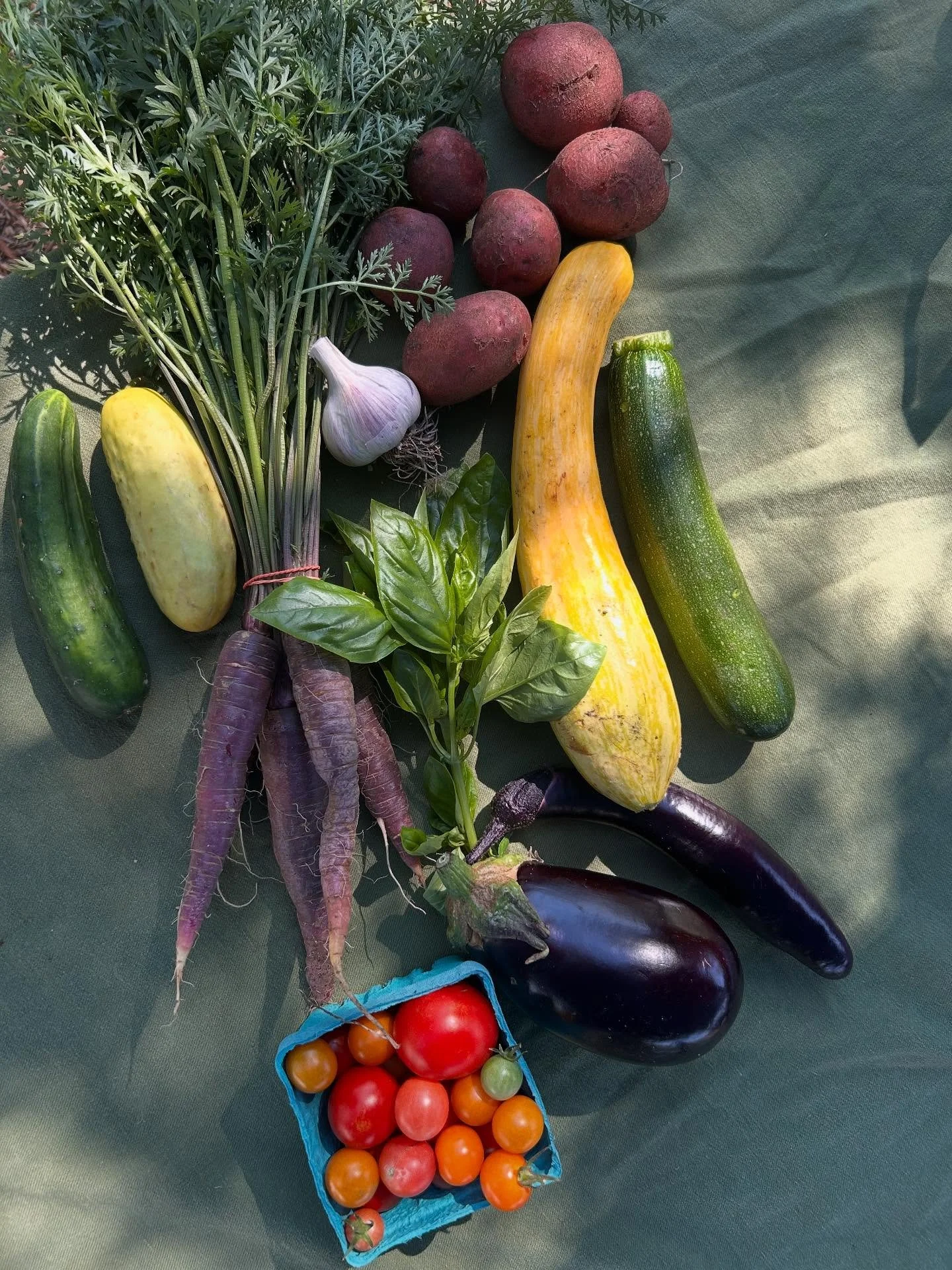 A bountiful harvest this week for DGS CSA week 10! Hard to believe the CSA is already halfway over but stoked to be giving out all this beautiful produce this week!!